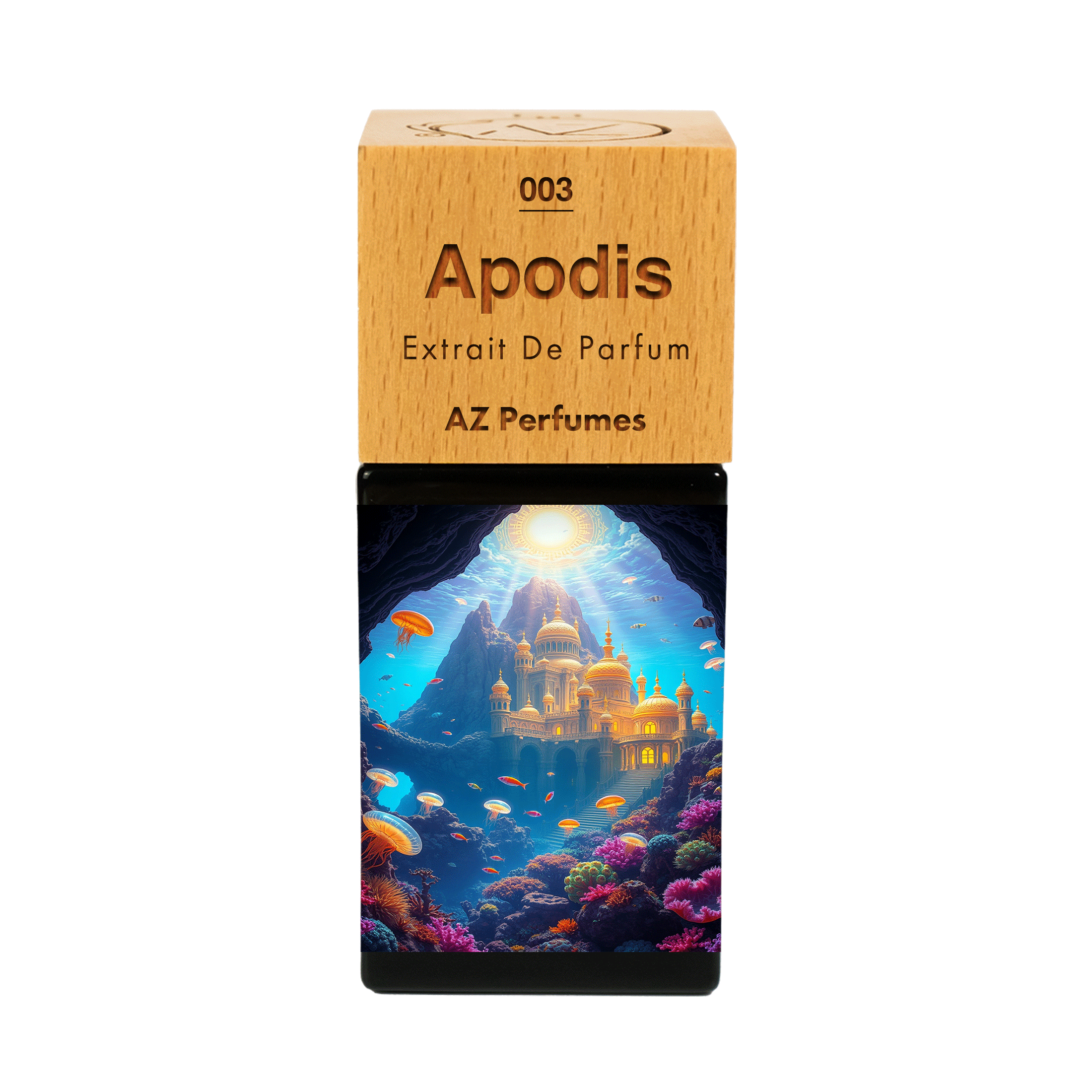 apodis-n-03