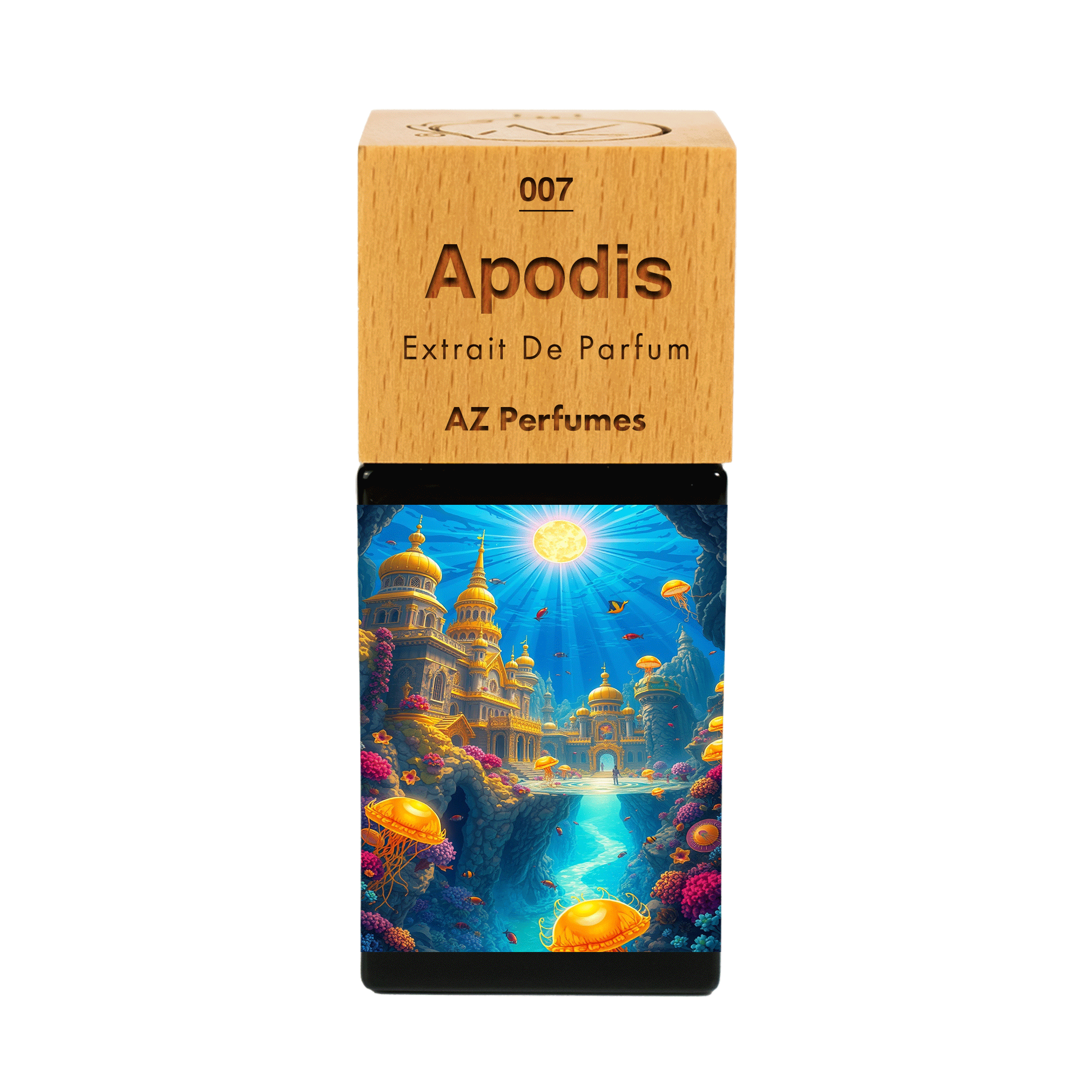 apodis-n-07