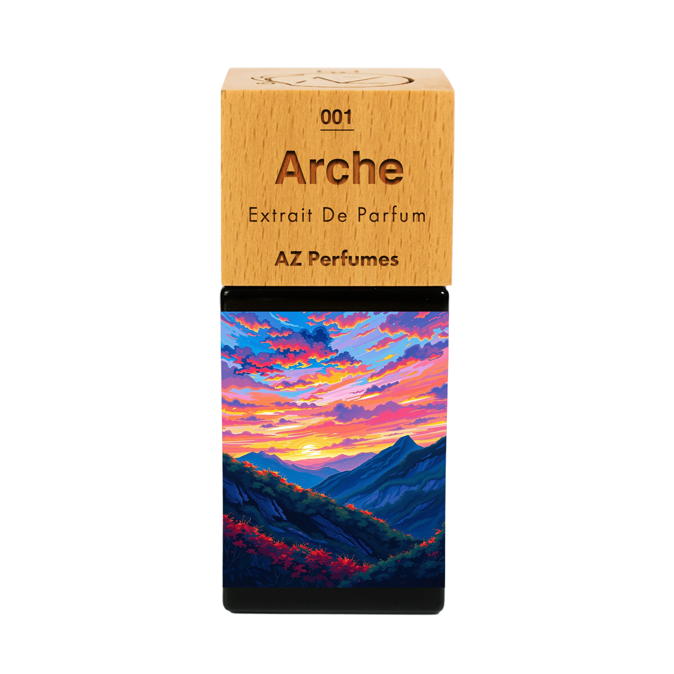 arche-n-01
