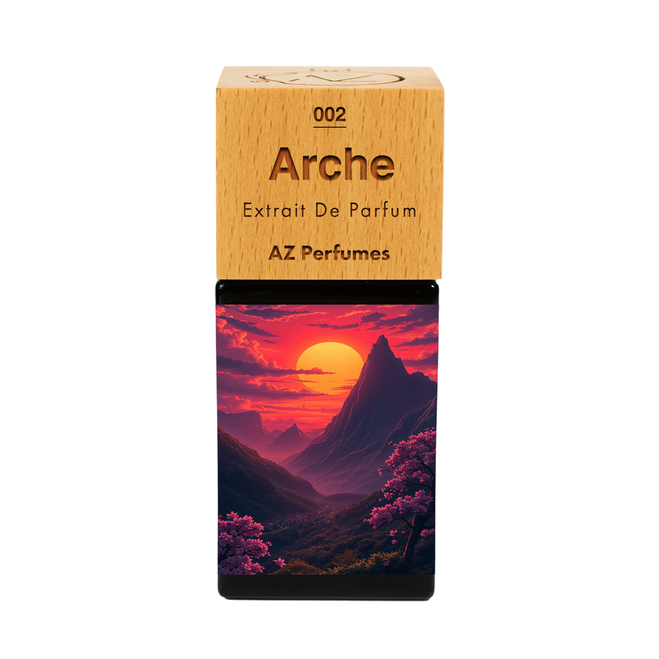 arche-n-02