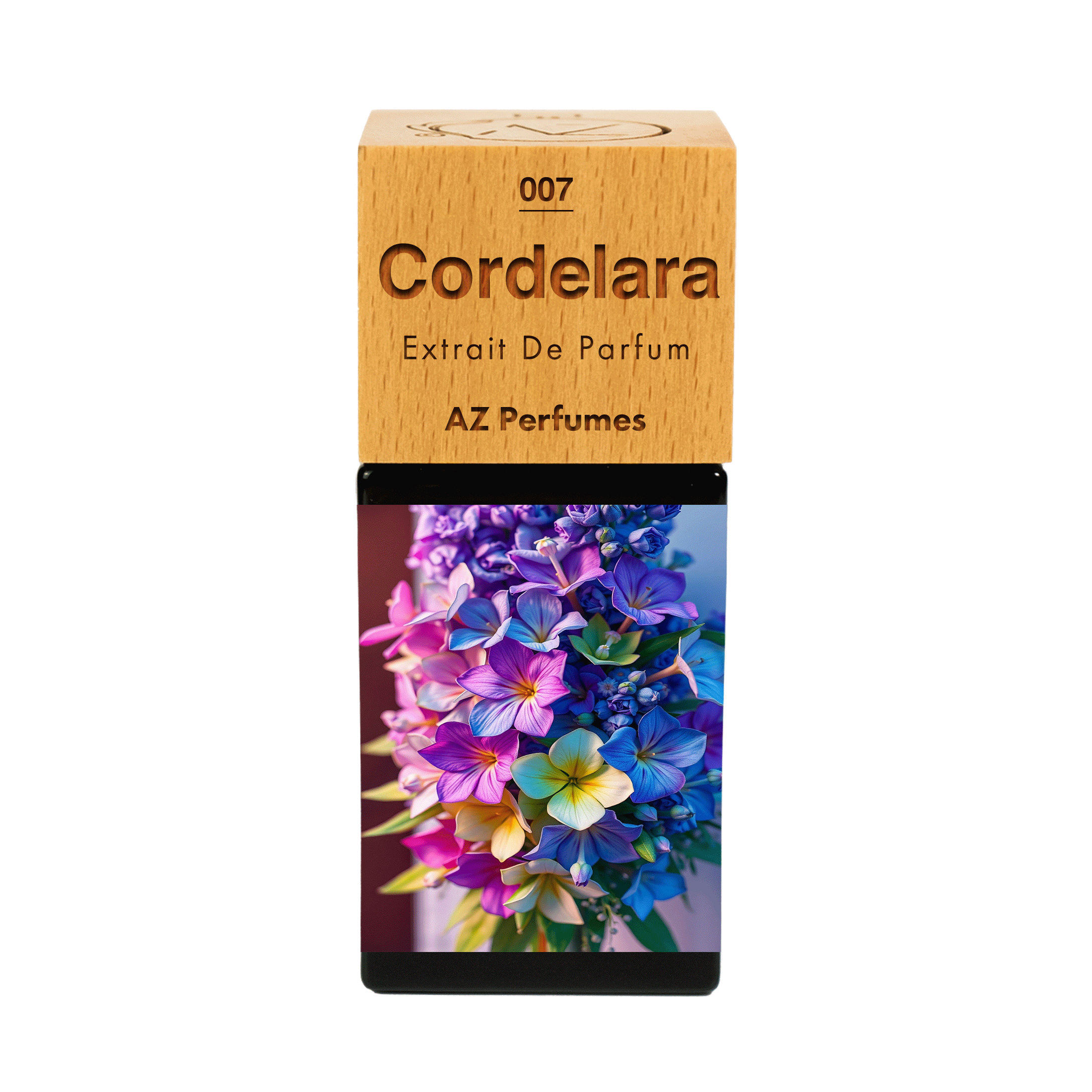 cordelara-n-07