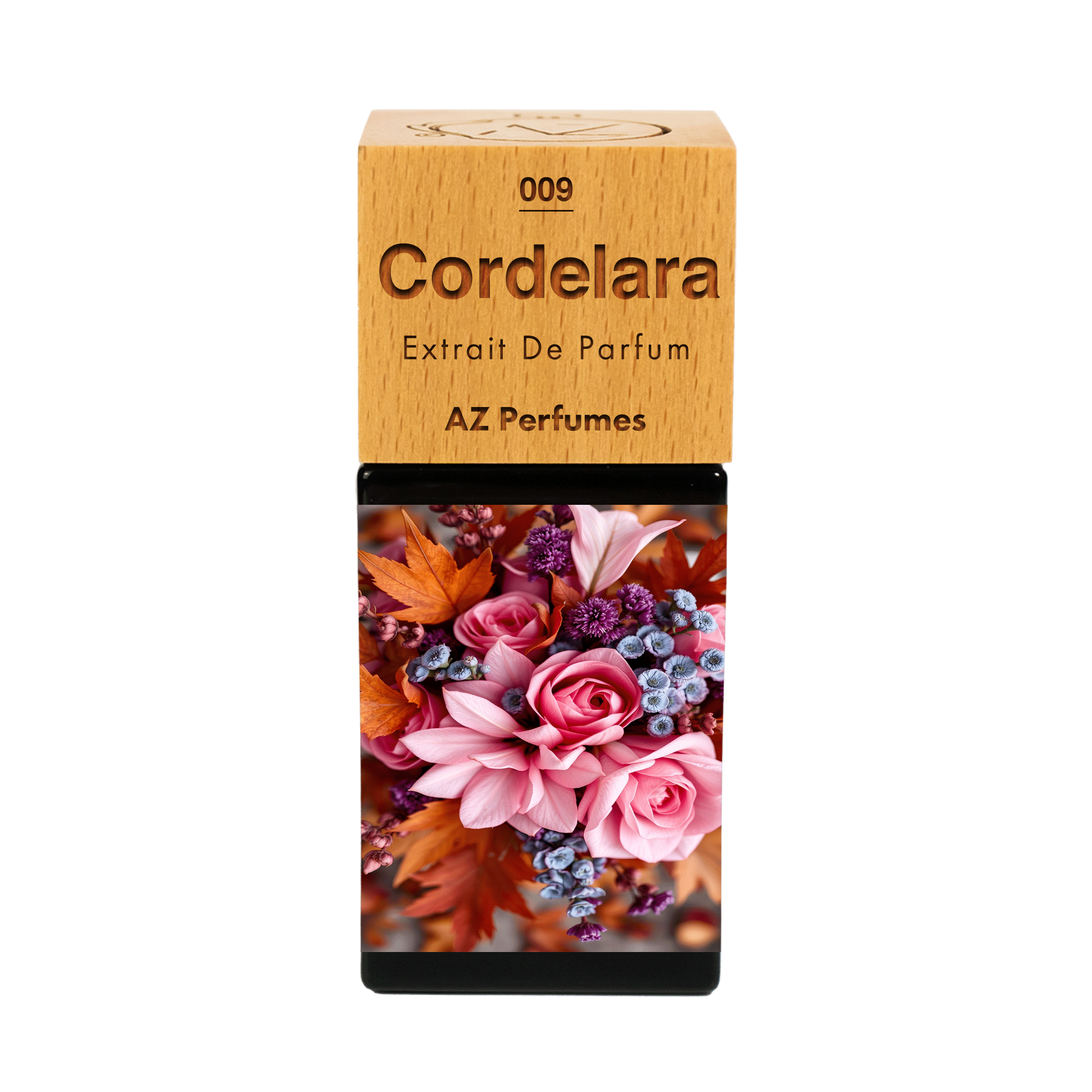 cordelara-n-09