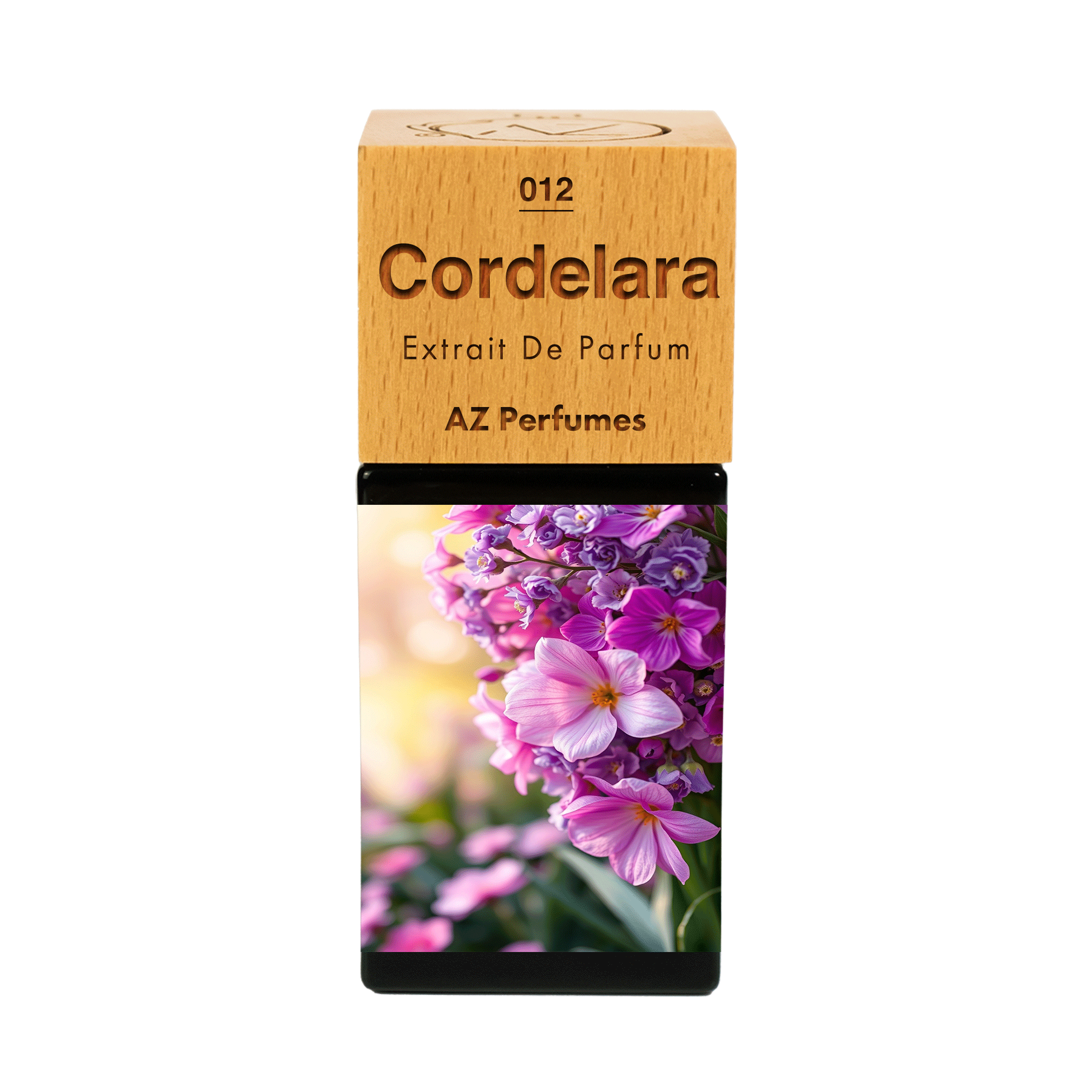 cordelara-n-12