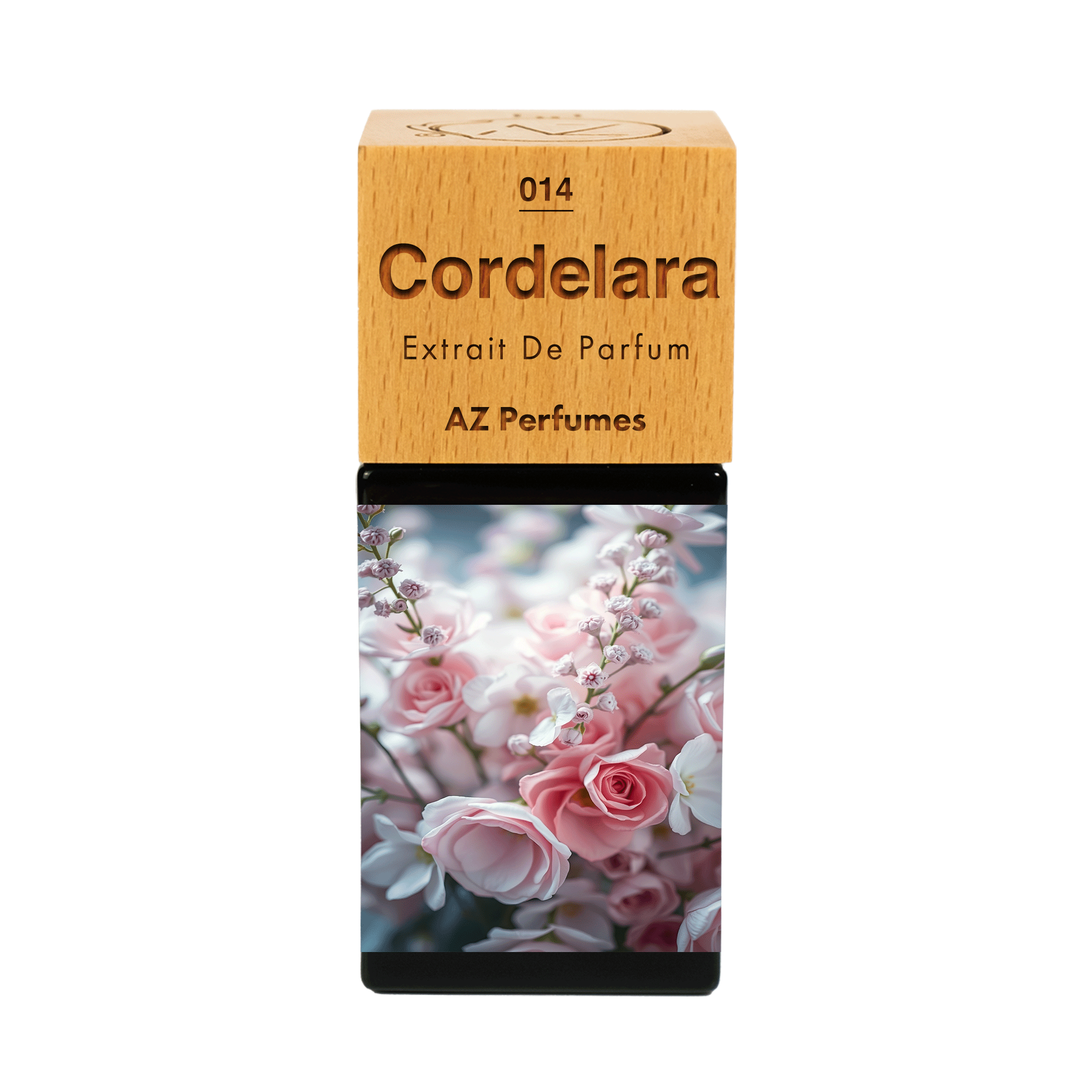 cordelara-n-14