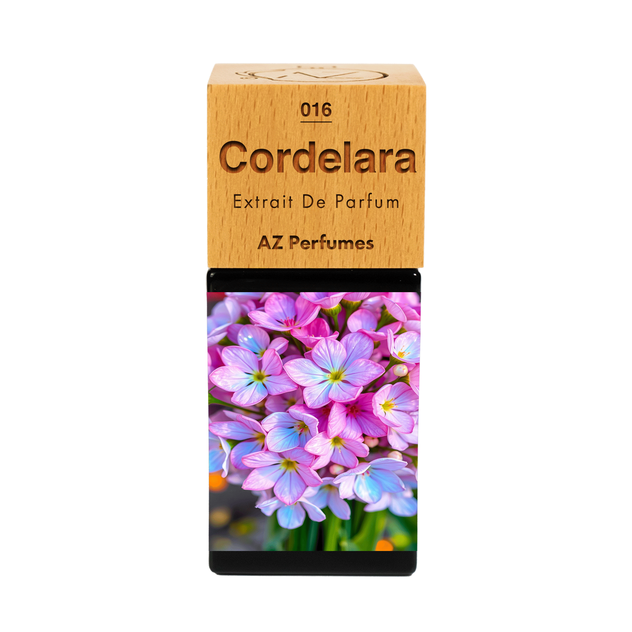 cordelara-n-16