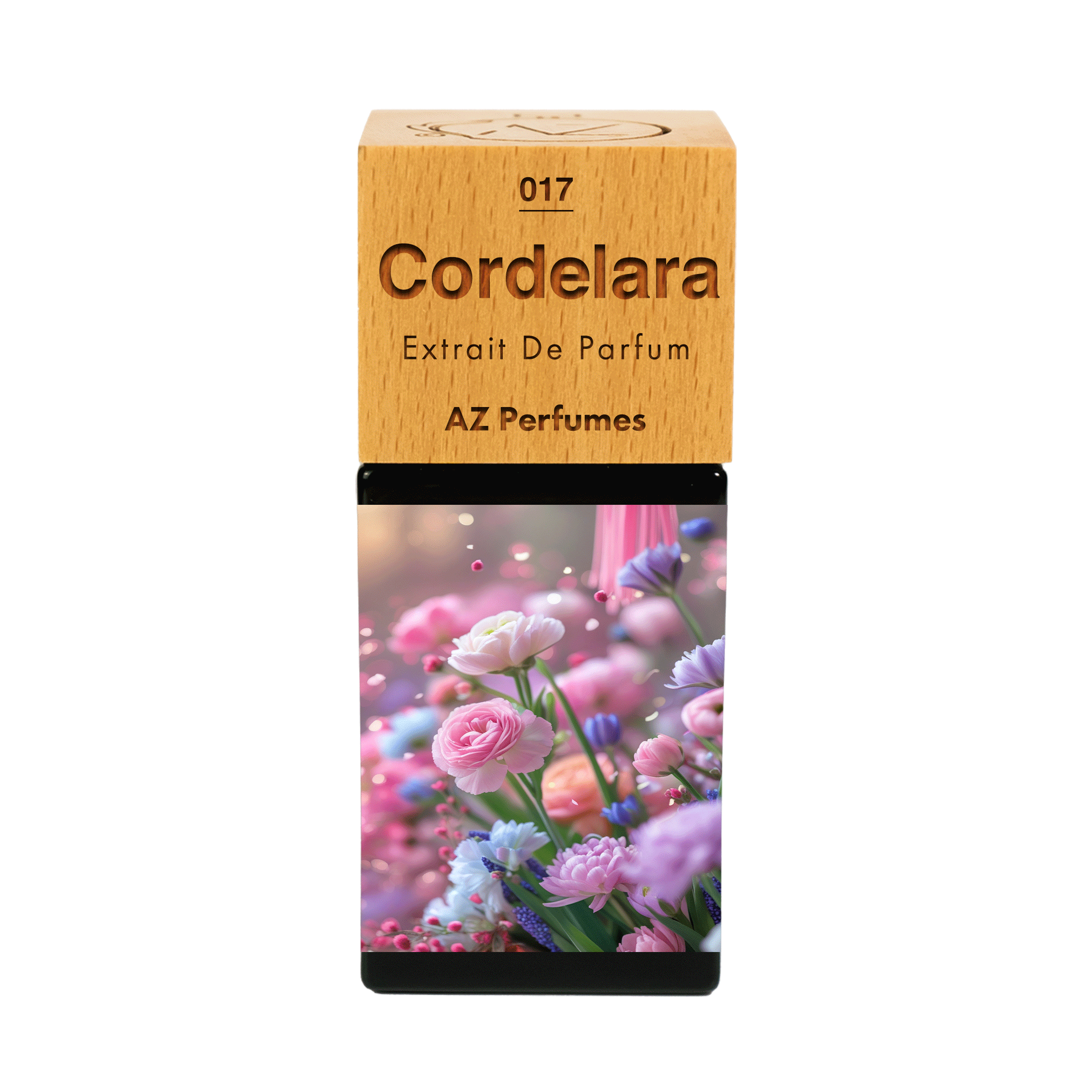 cordelara-n-17