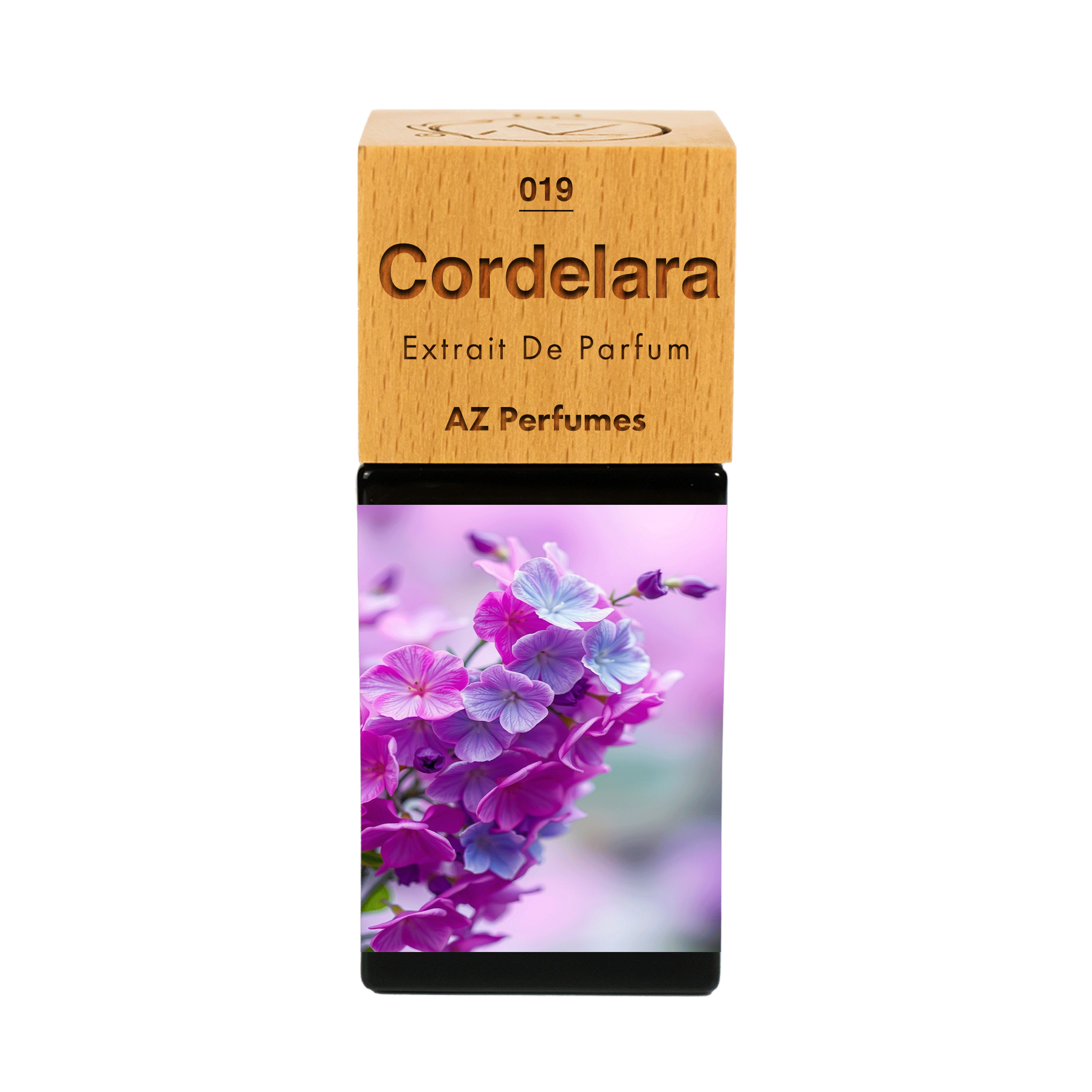cordelara-n-19