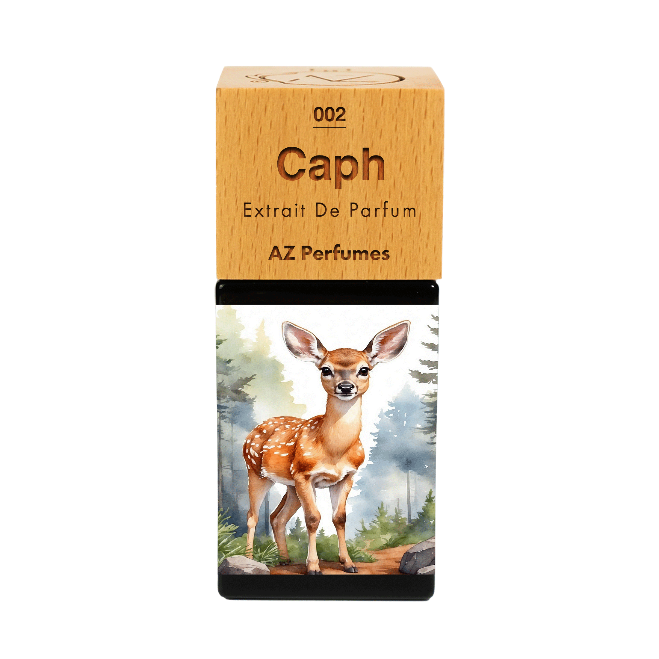 caph-n-02