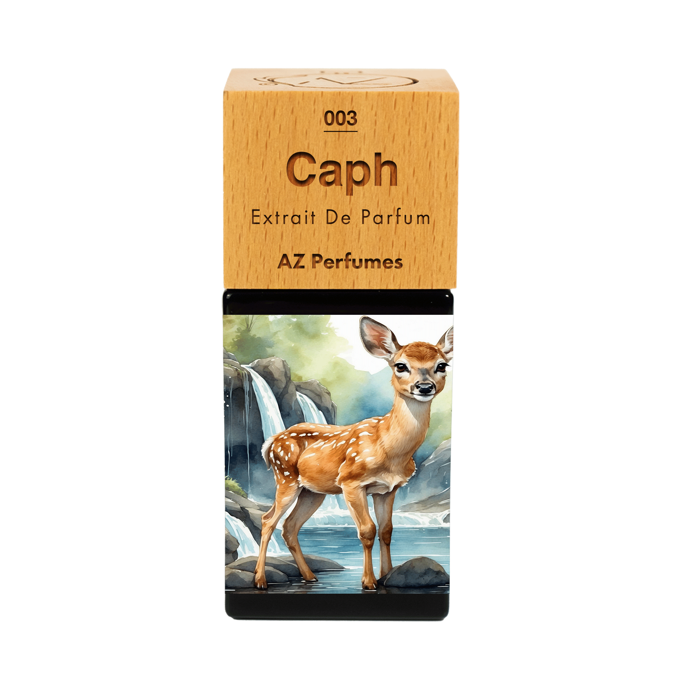 caph-n-03