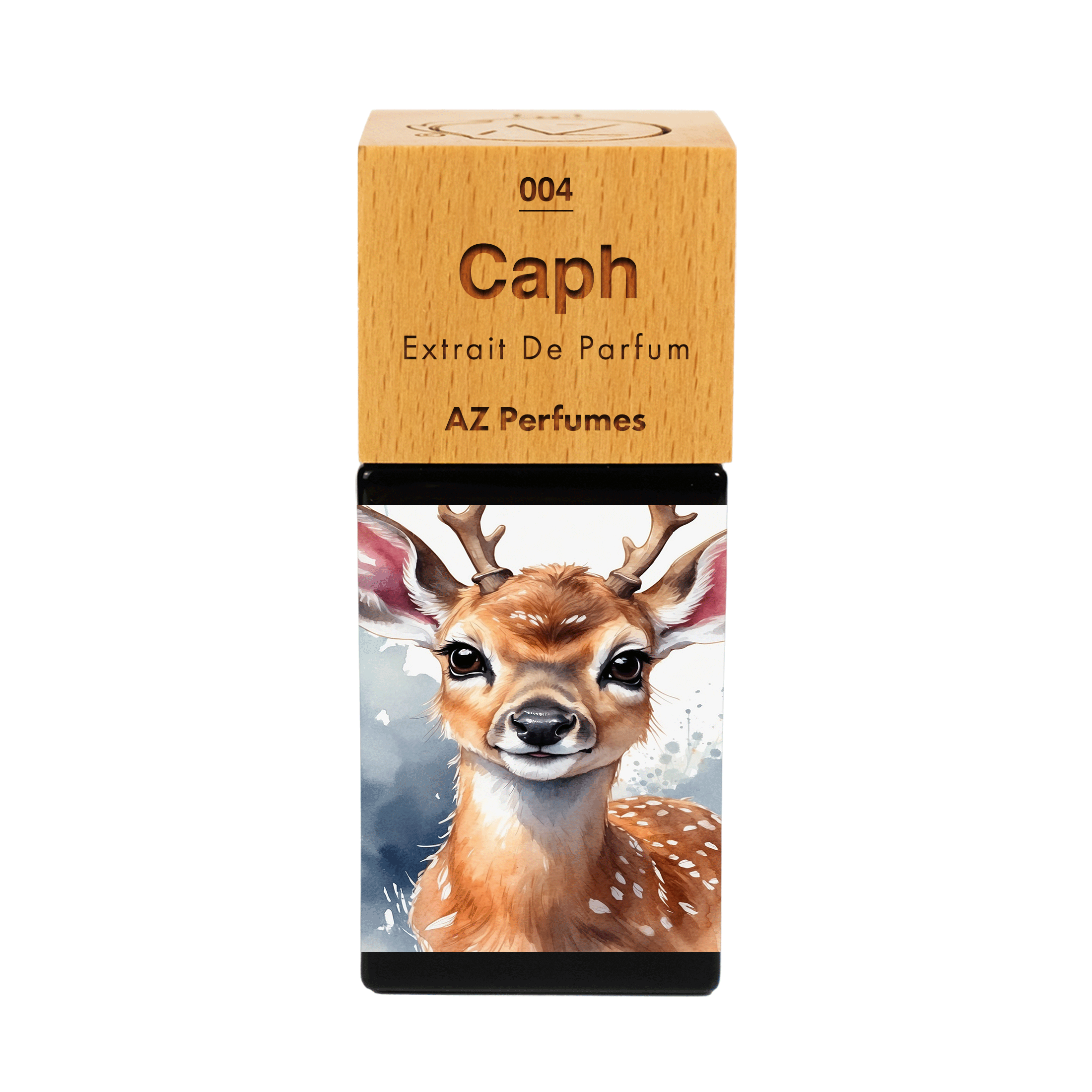 caph-n-04
