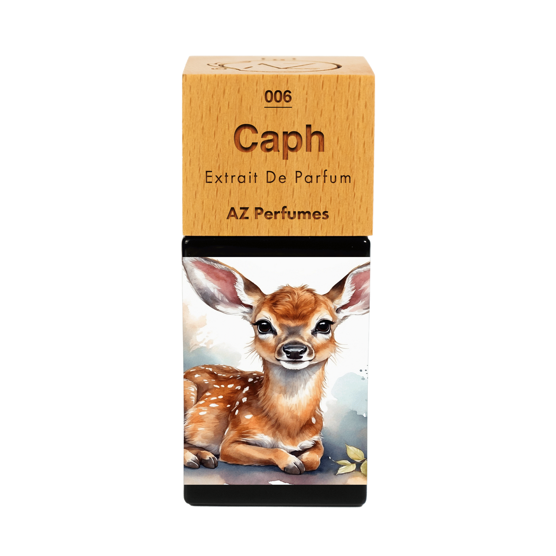 caph-n-06