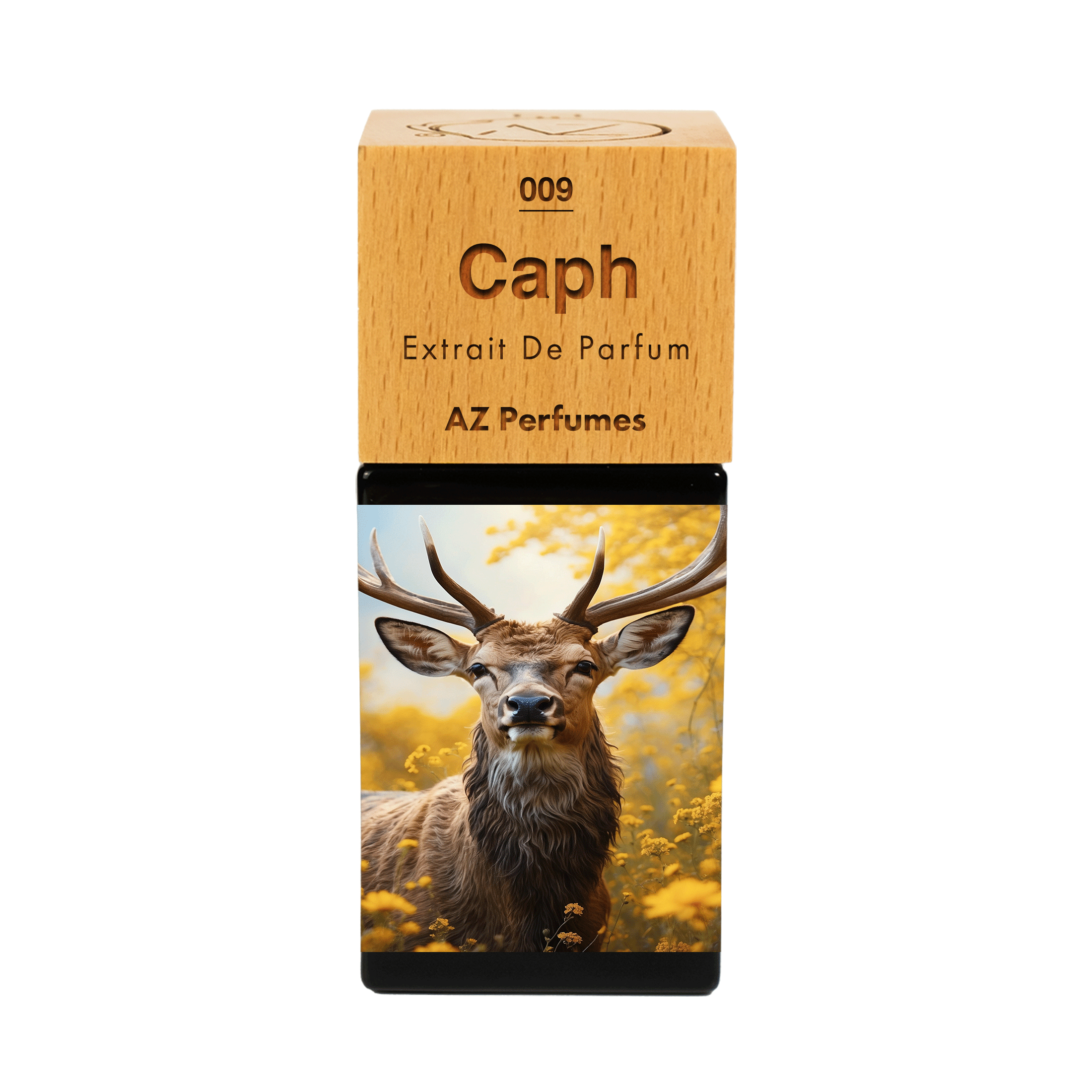 caph-n-09