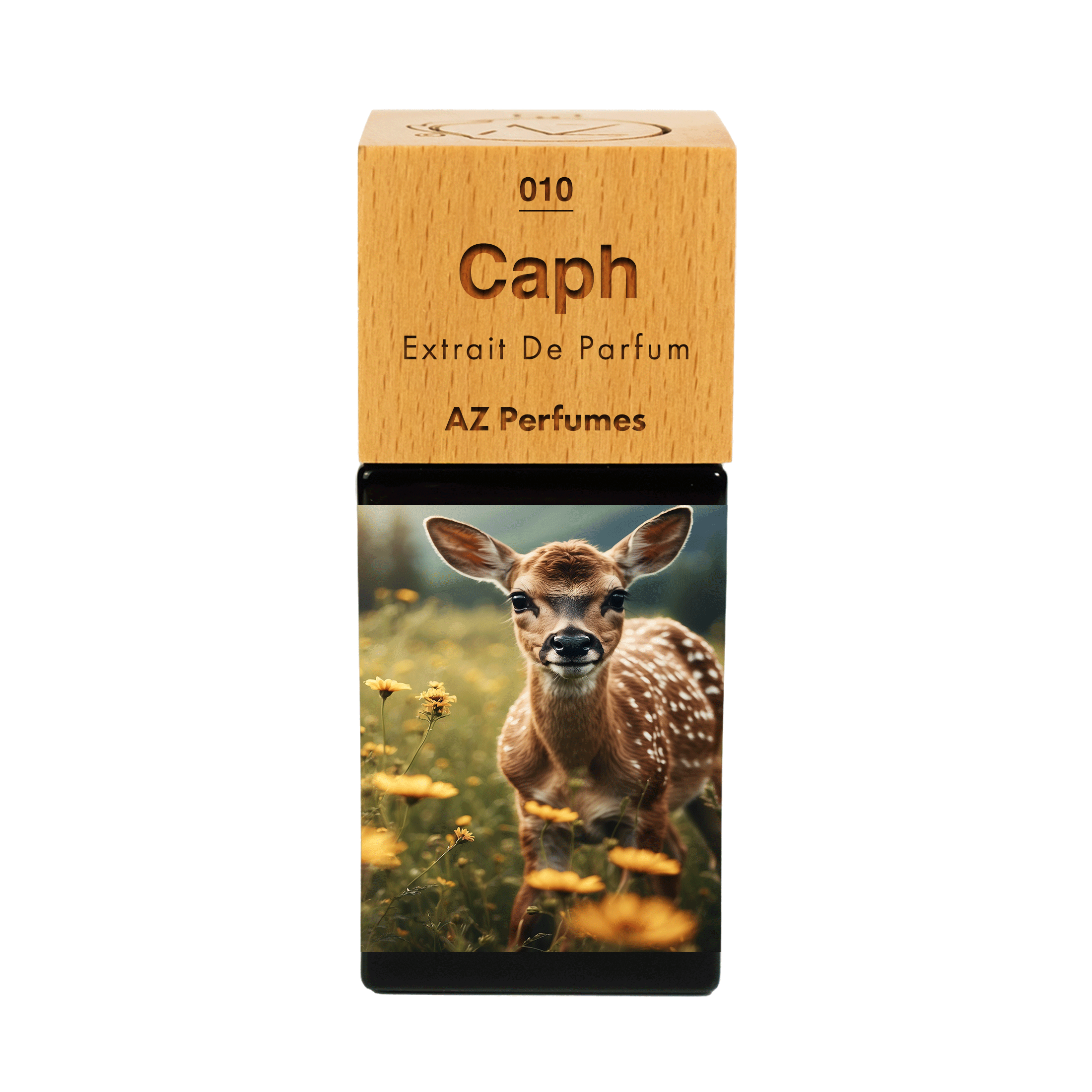 caph-n-10