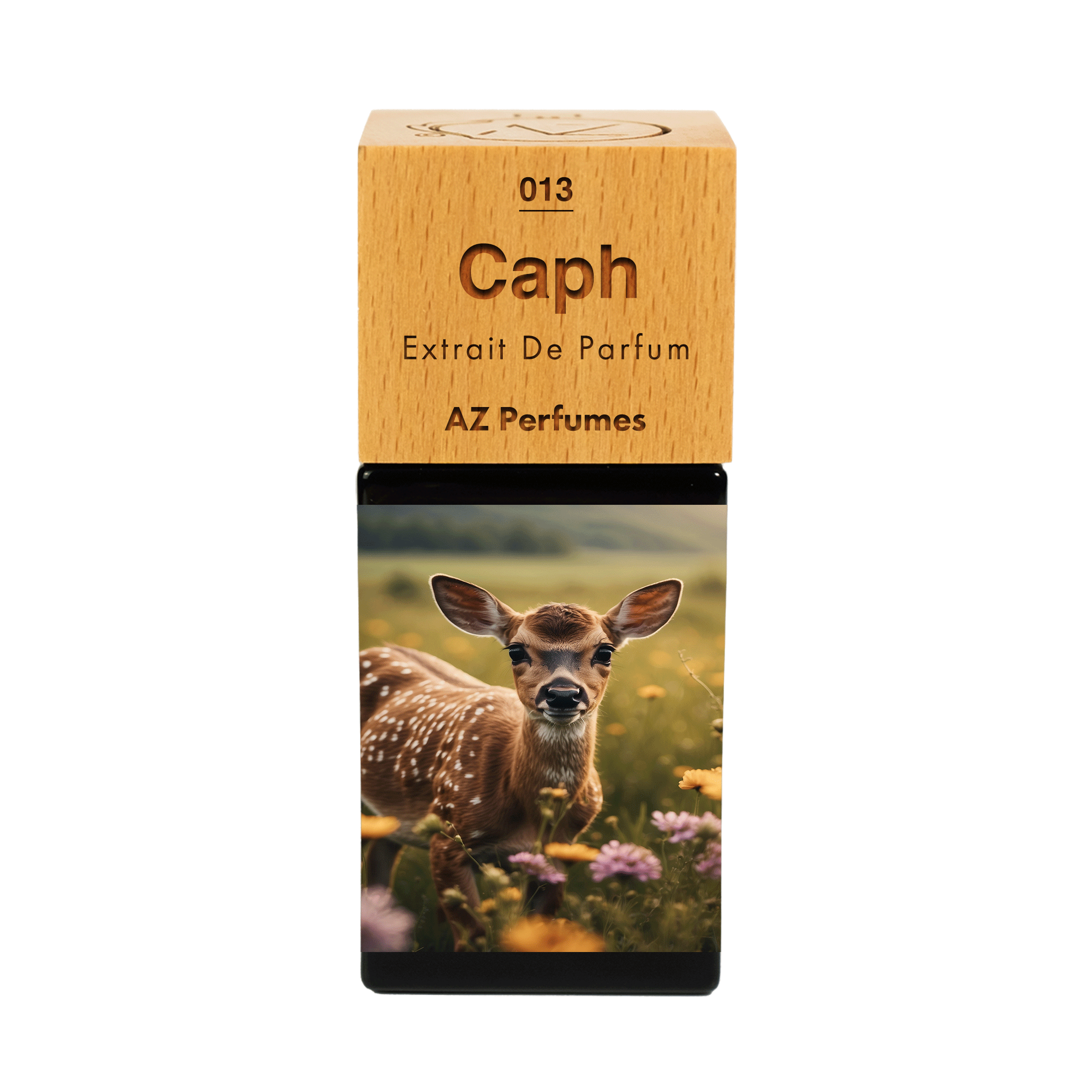caph-n-13