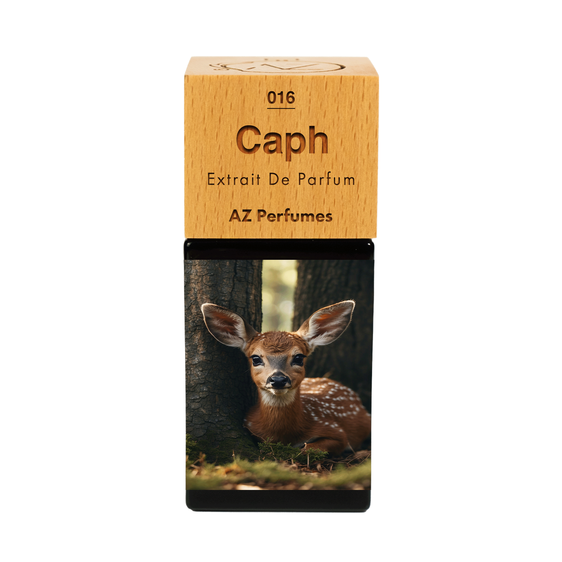 caph-n-16