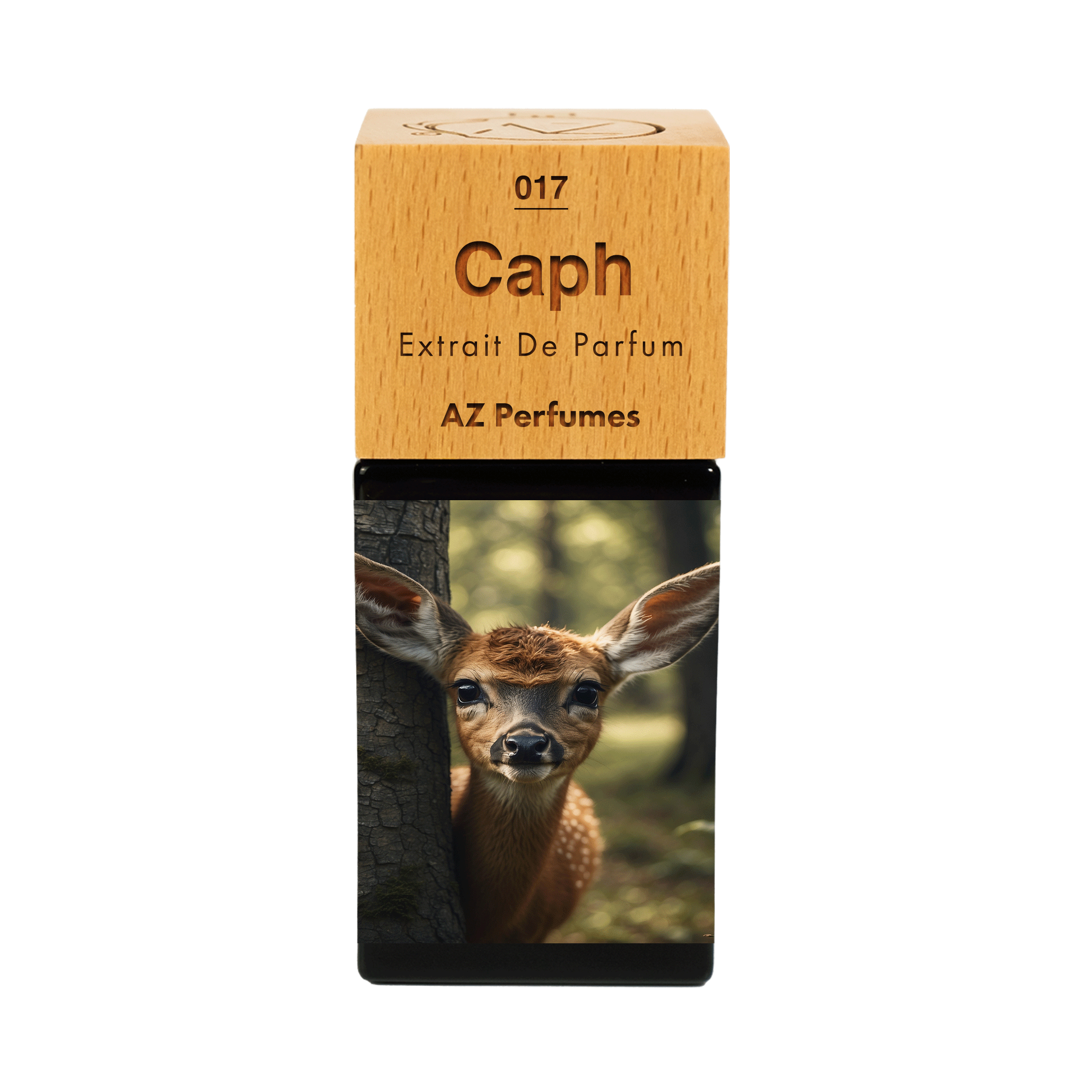 caph-n-17