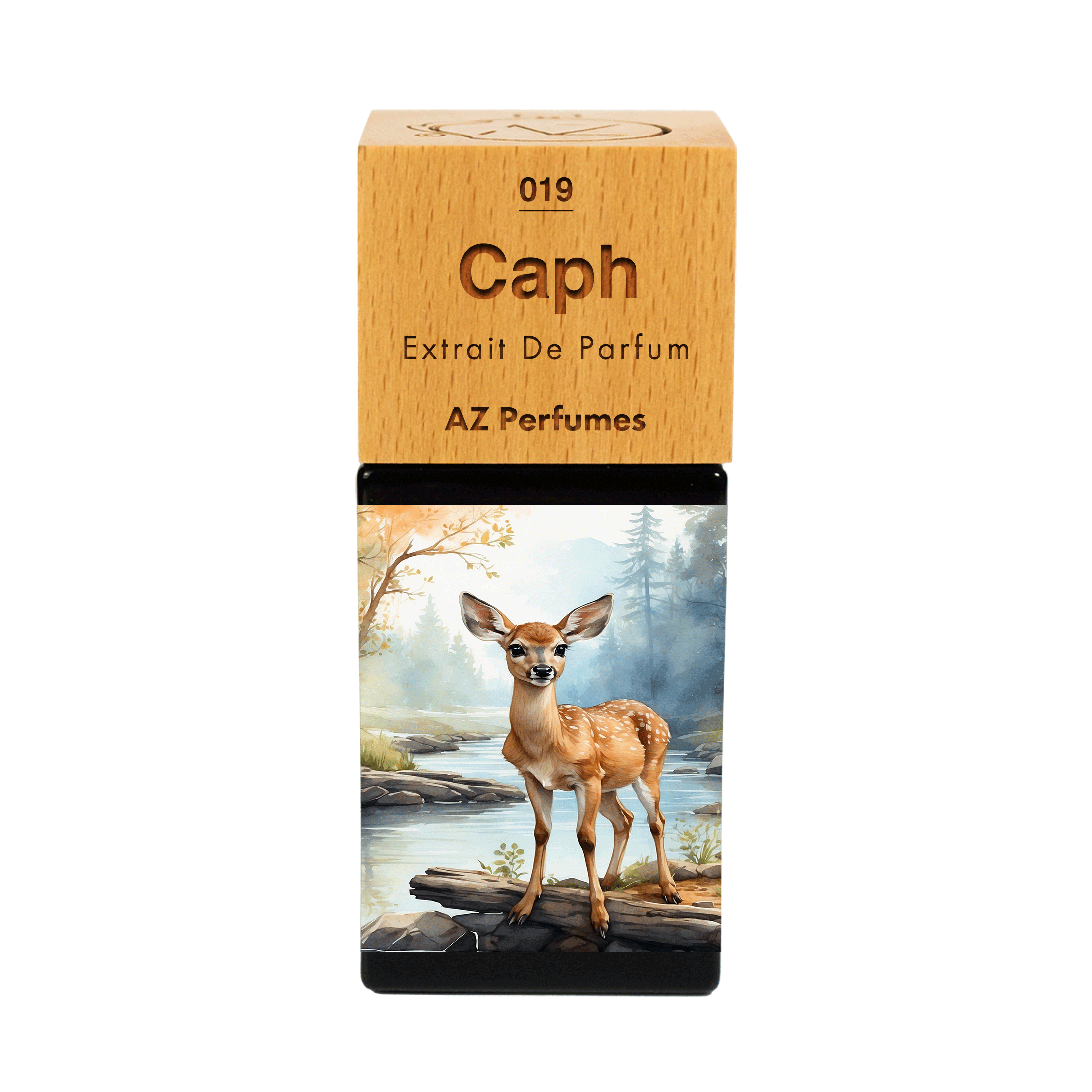 caph-n-19