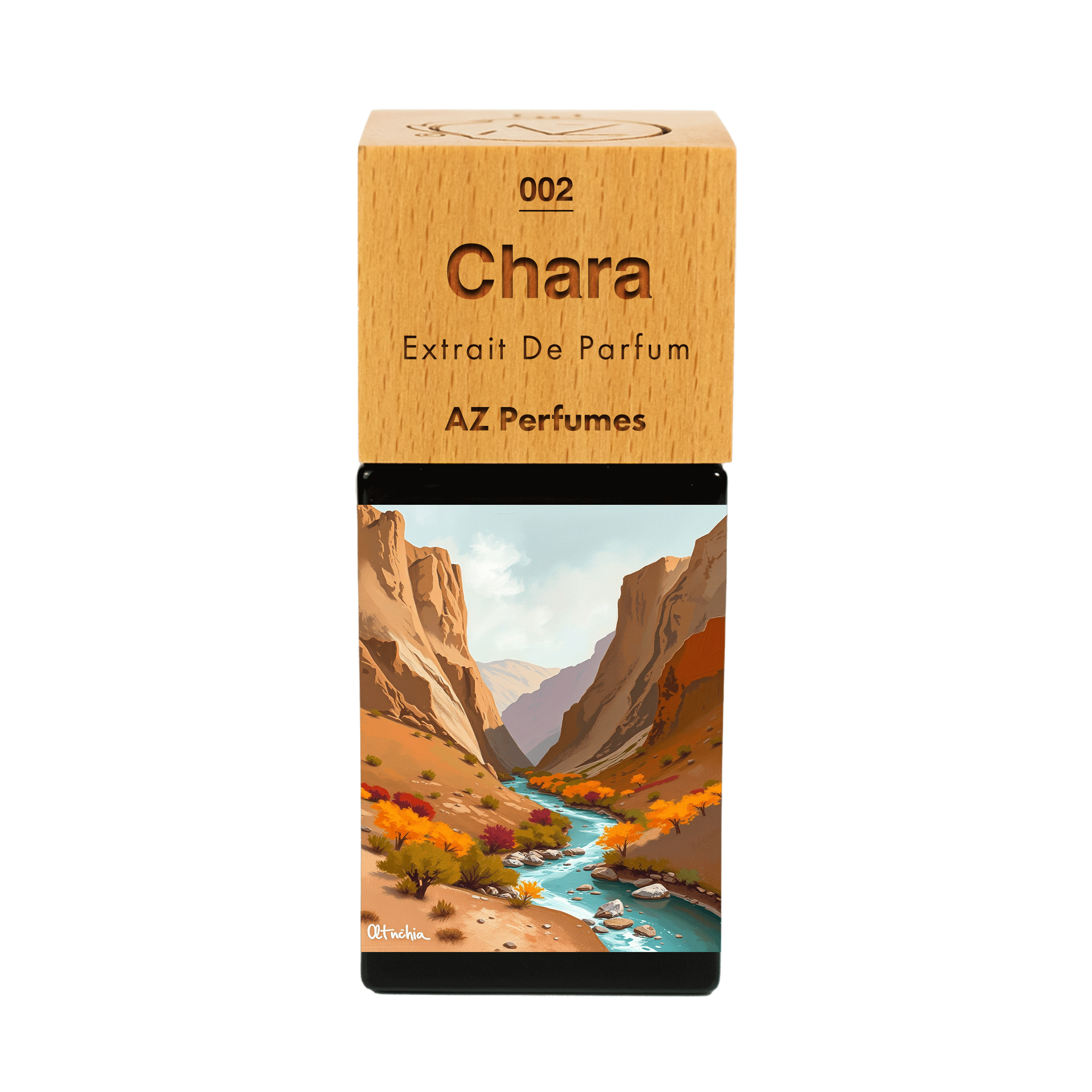 chara-n-02