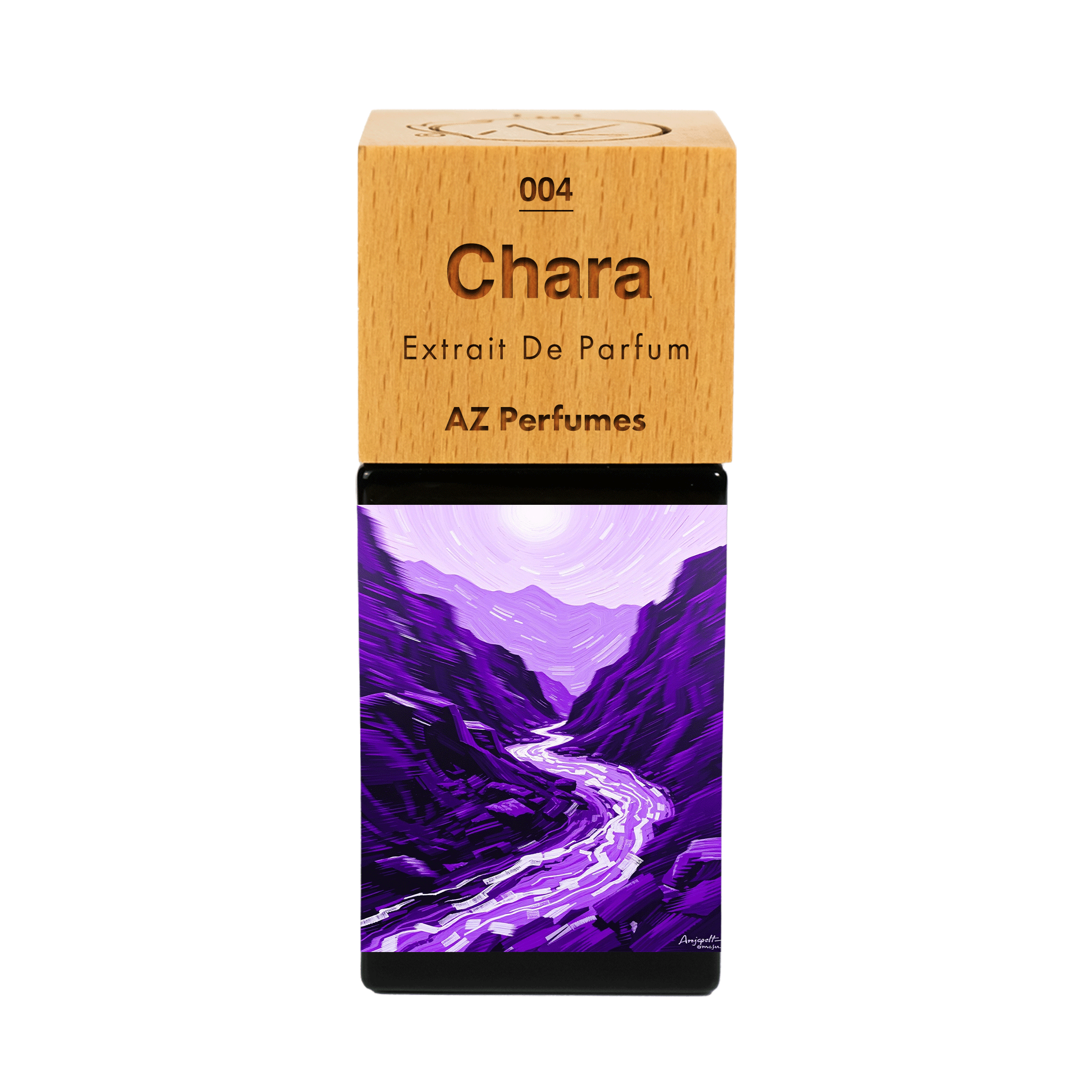 chara-n-04