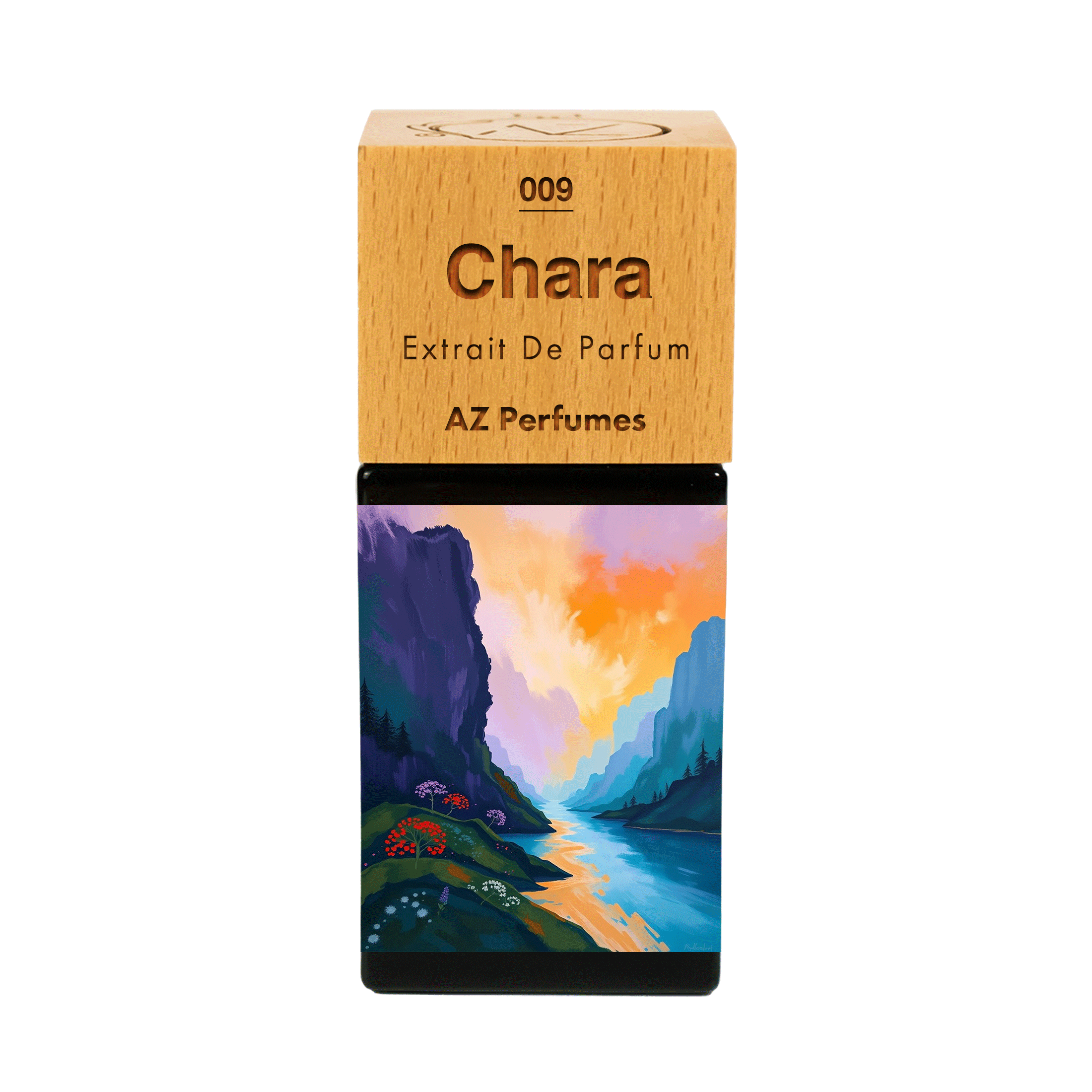 chara-n-09