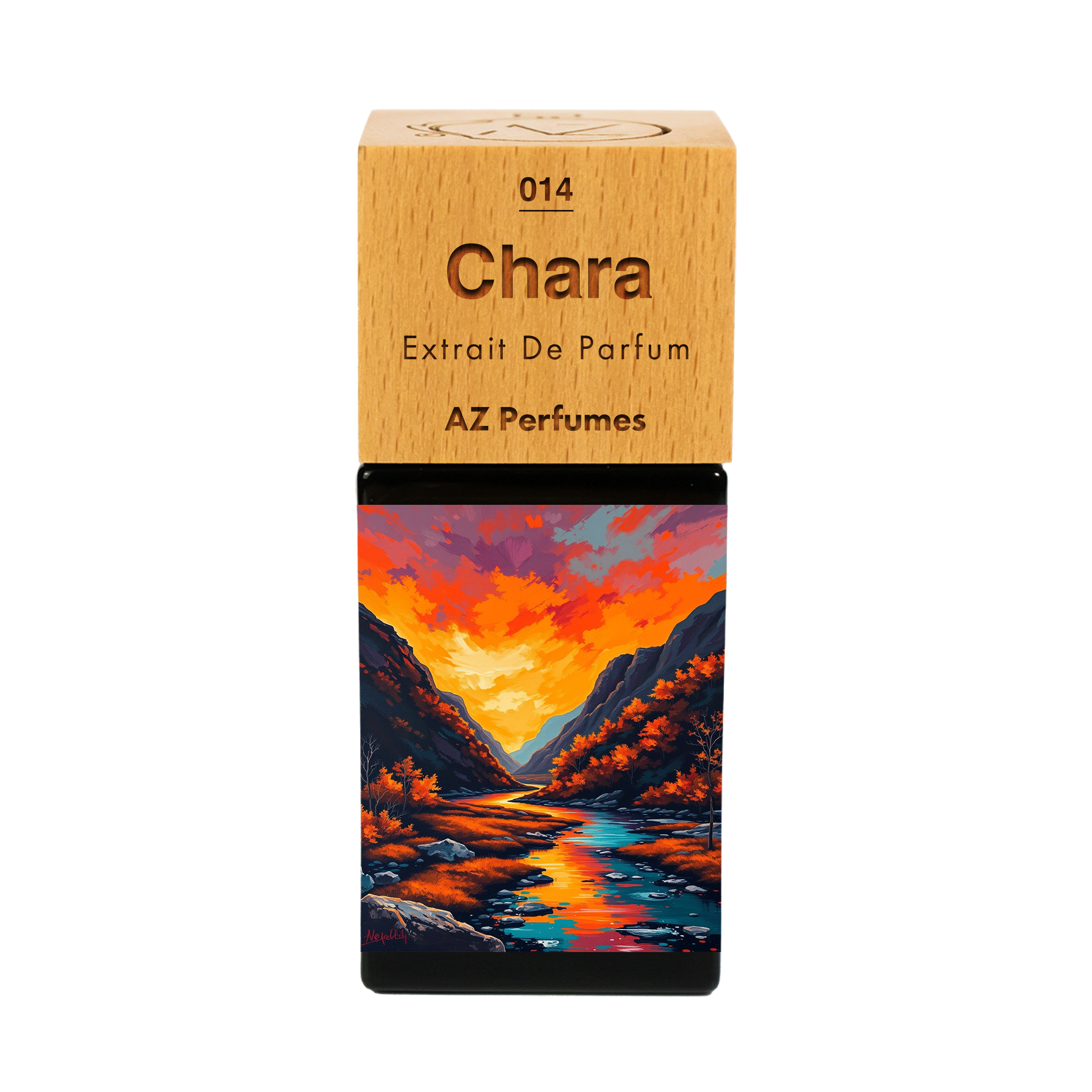 chara-n-14