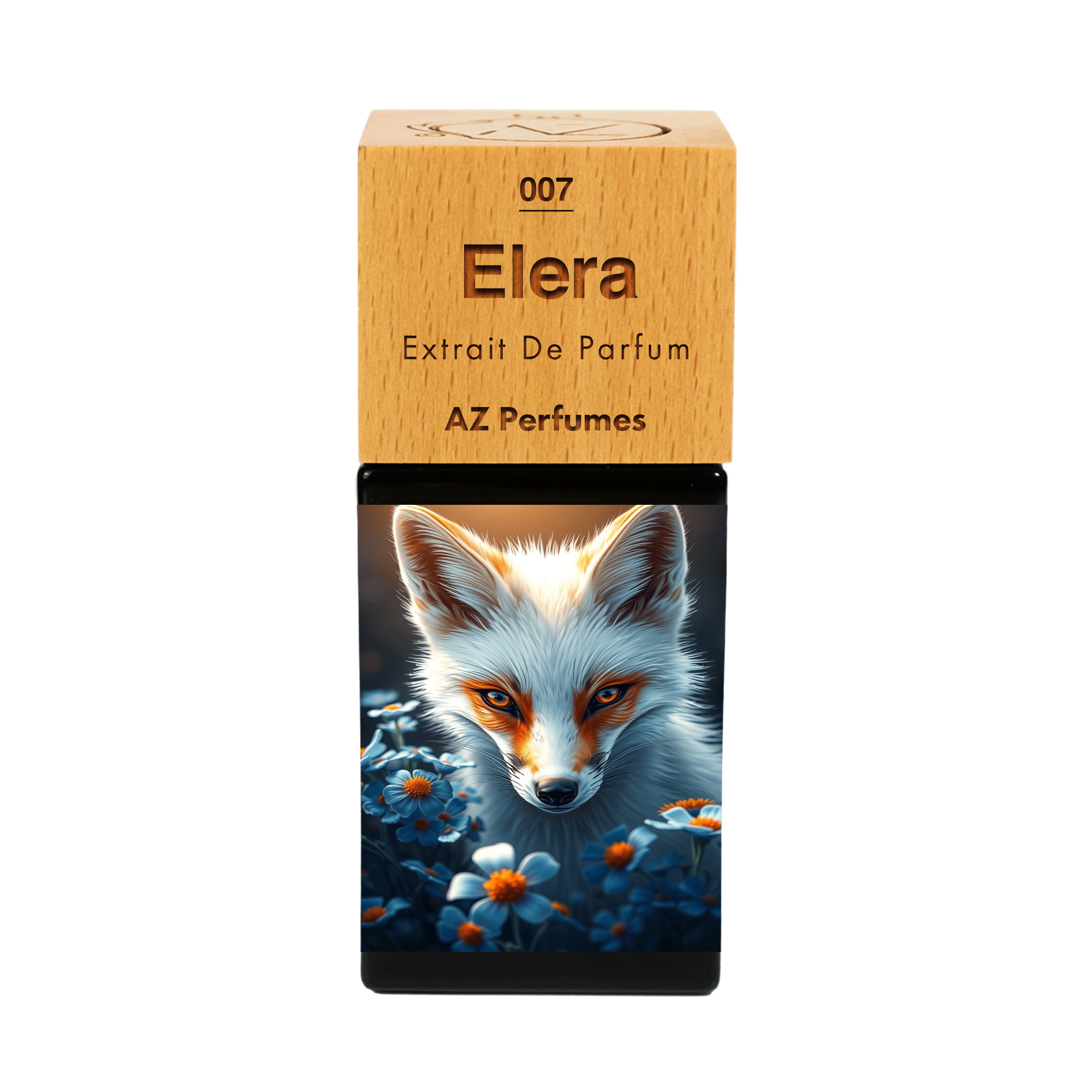 elera-n-07