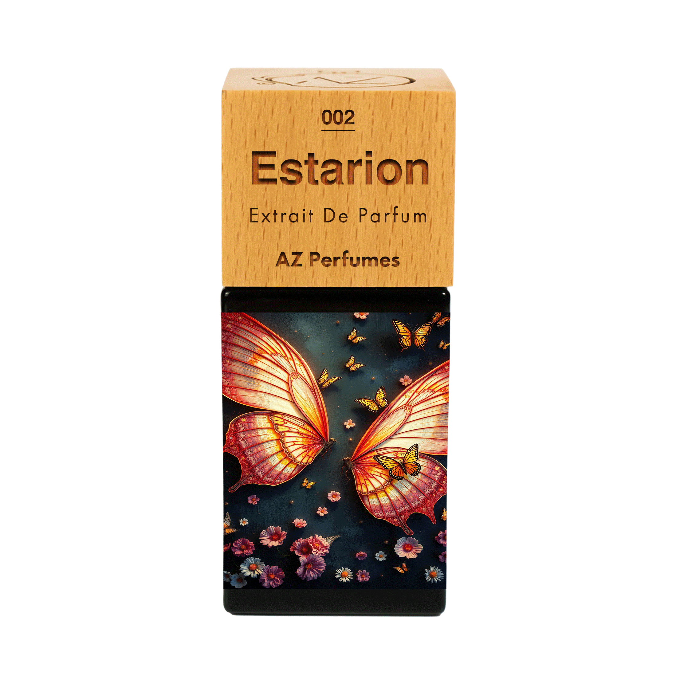 estarion-n-02