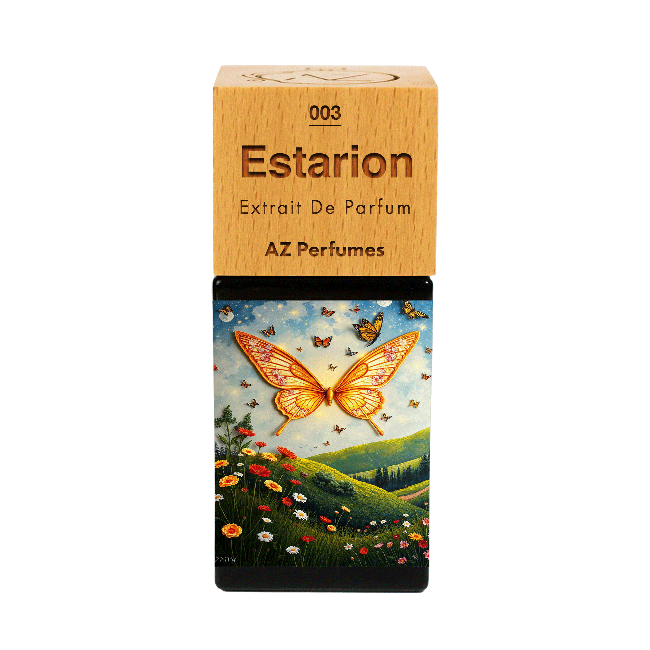 estarion-n-03