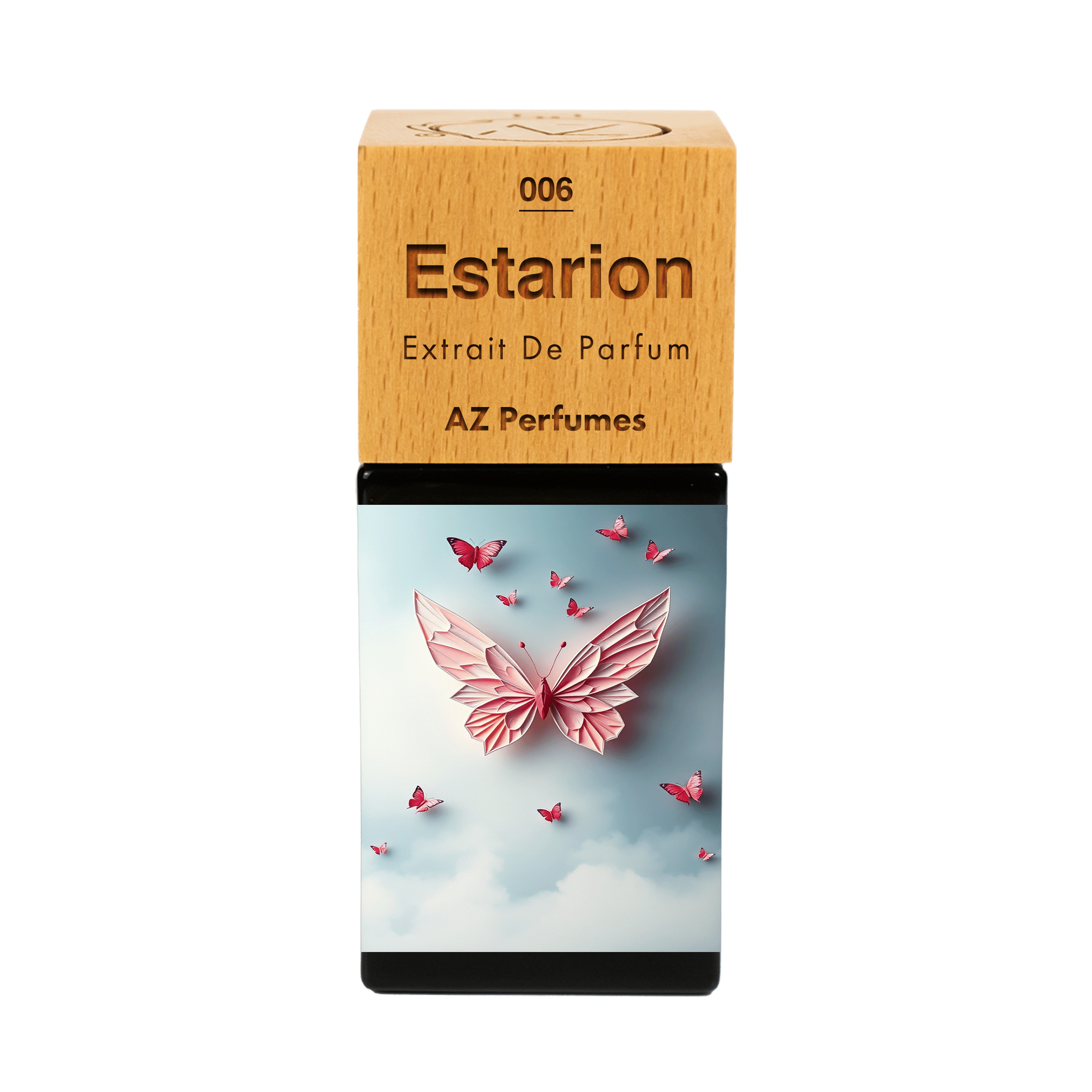 estarion-n-06