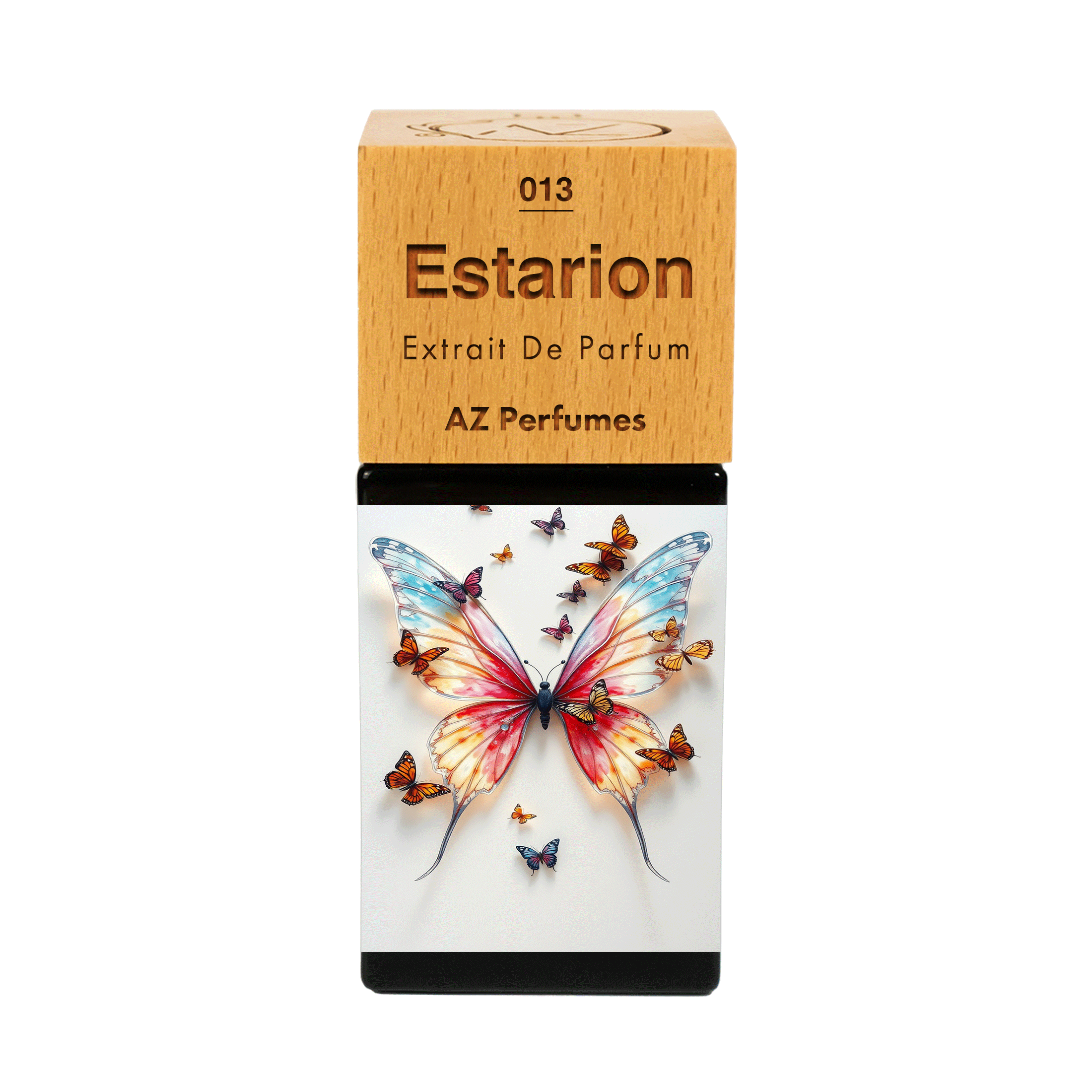 estarion-n-13