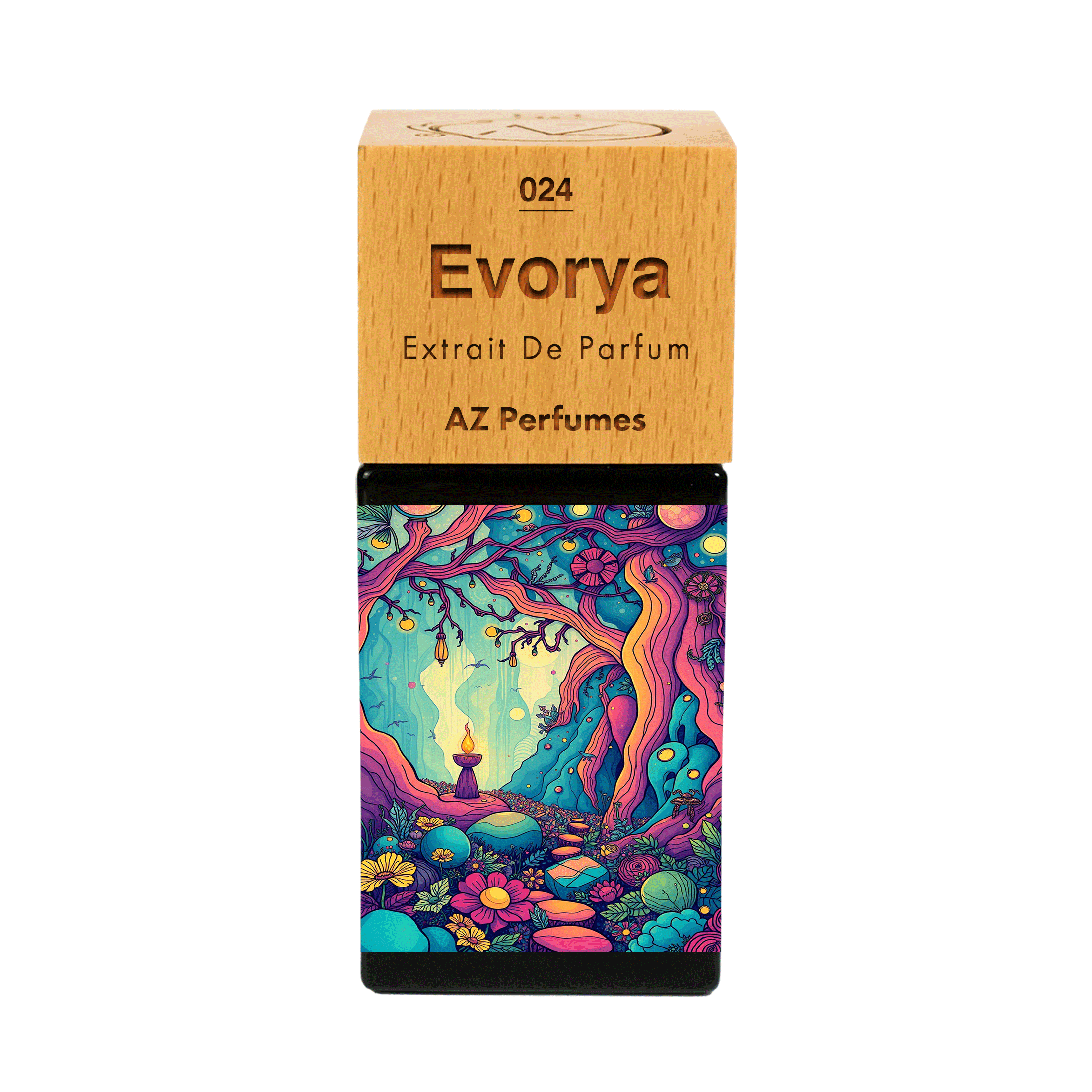 evorya-n-24