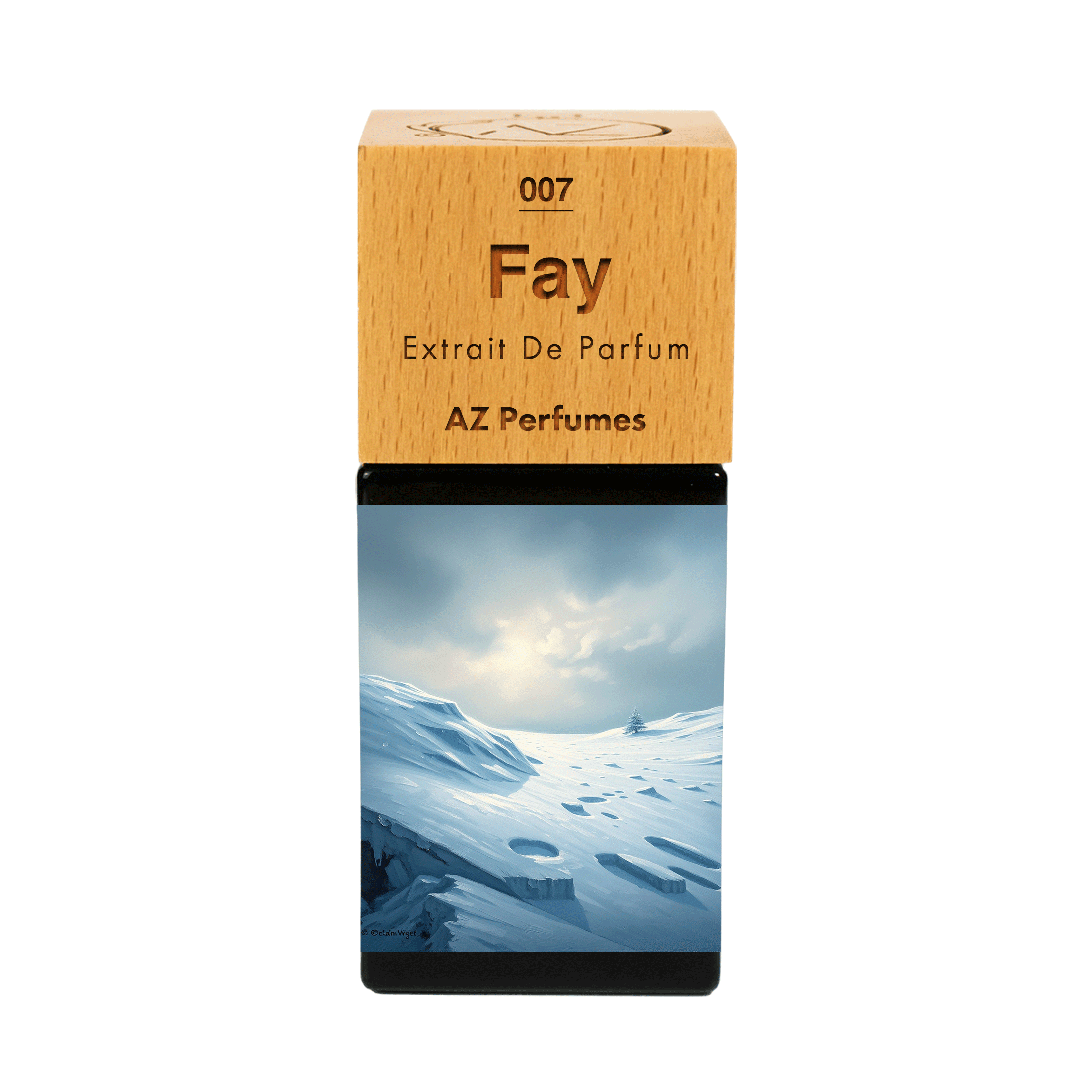 fay-n-07