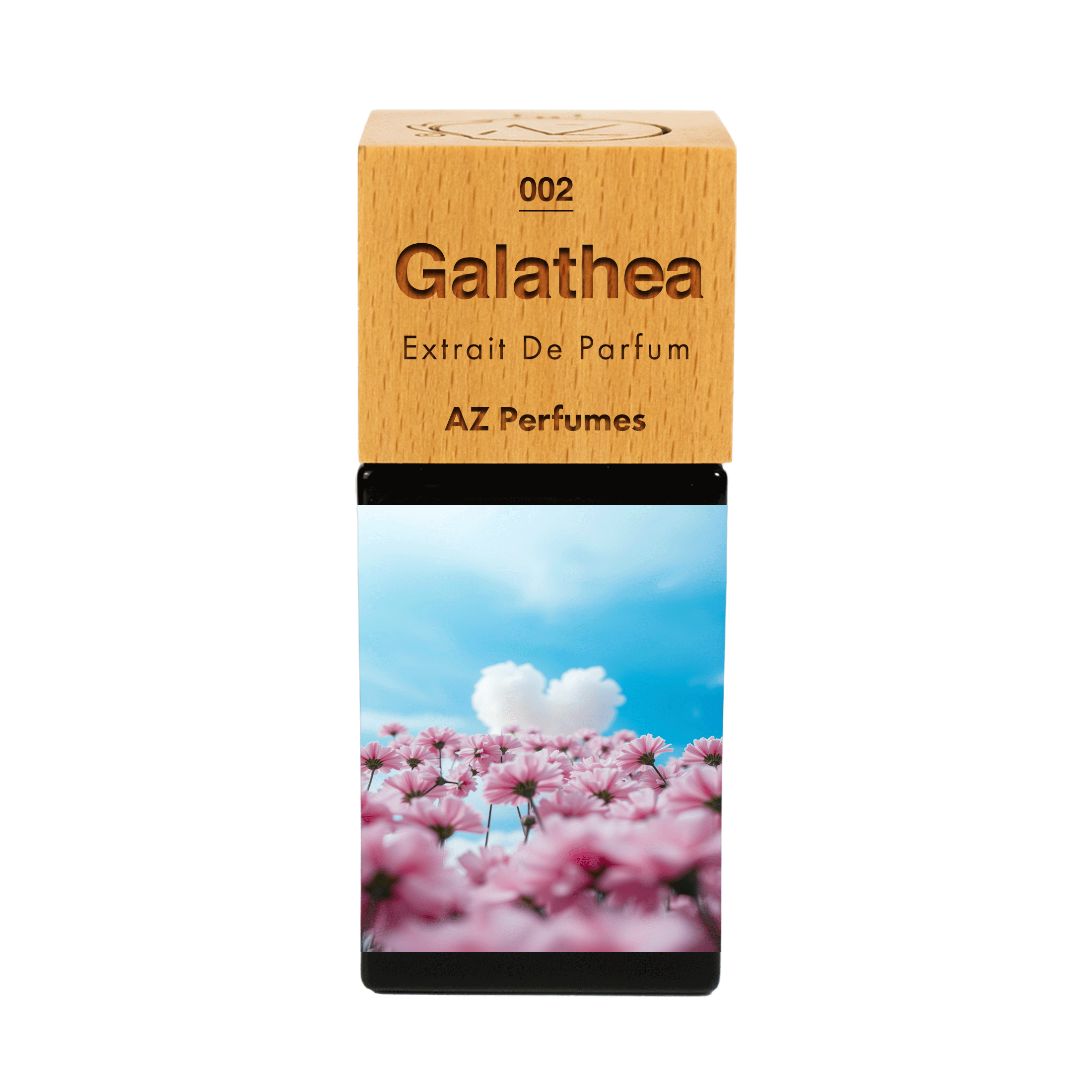galathea-n-02