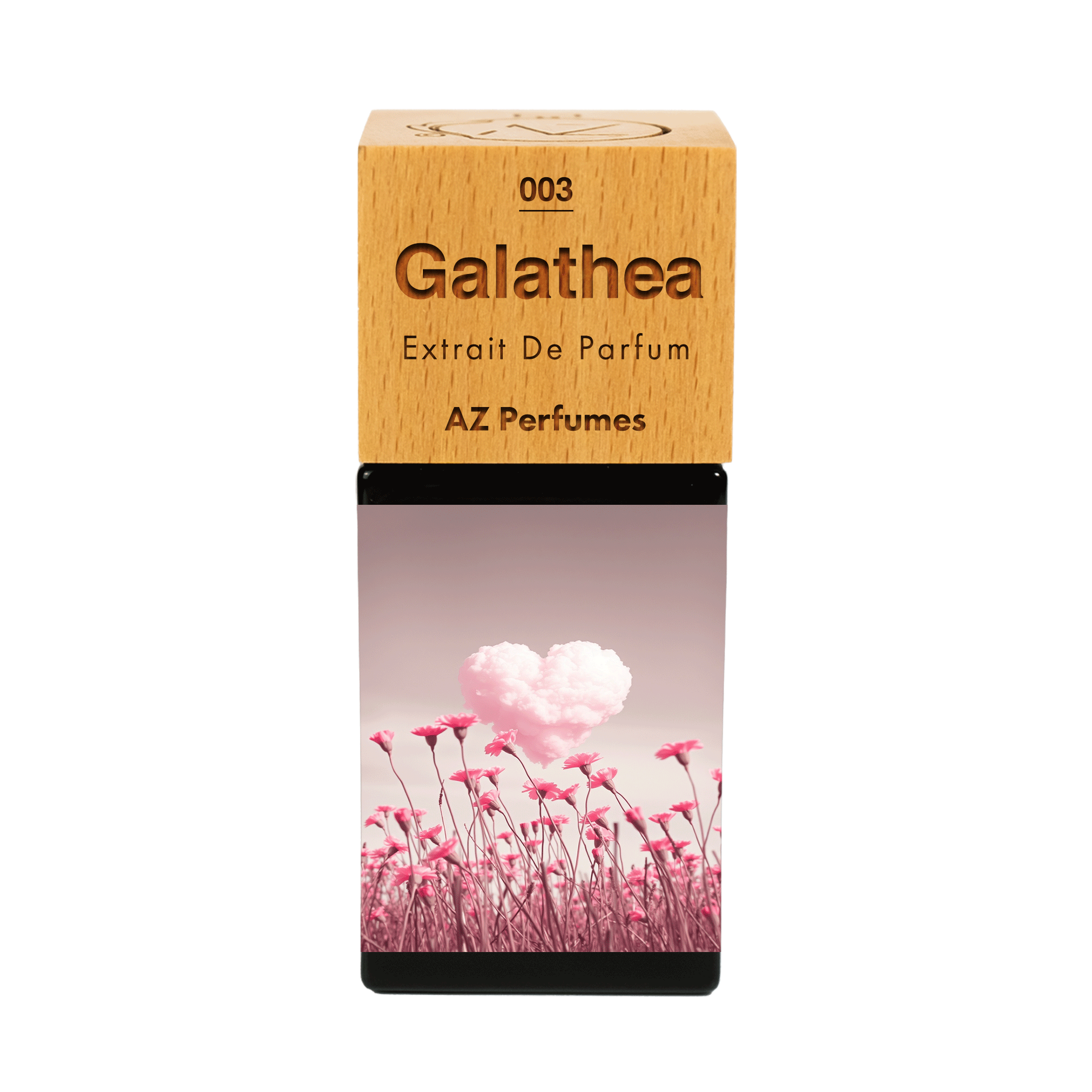 galathea-n-03