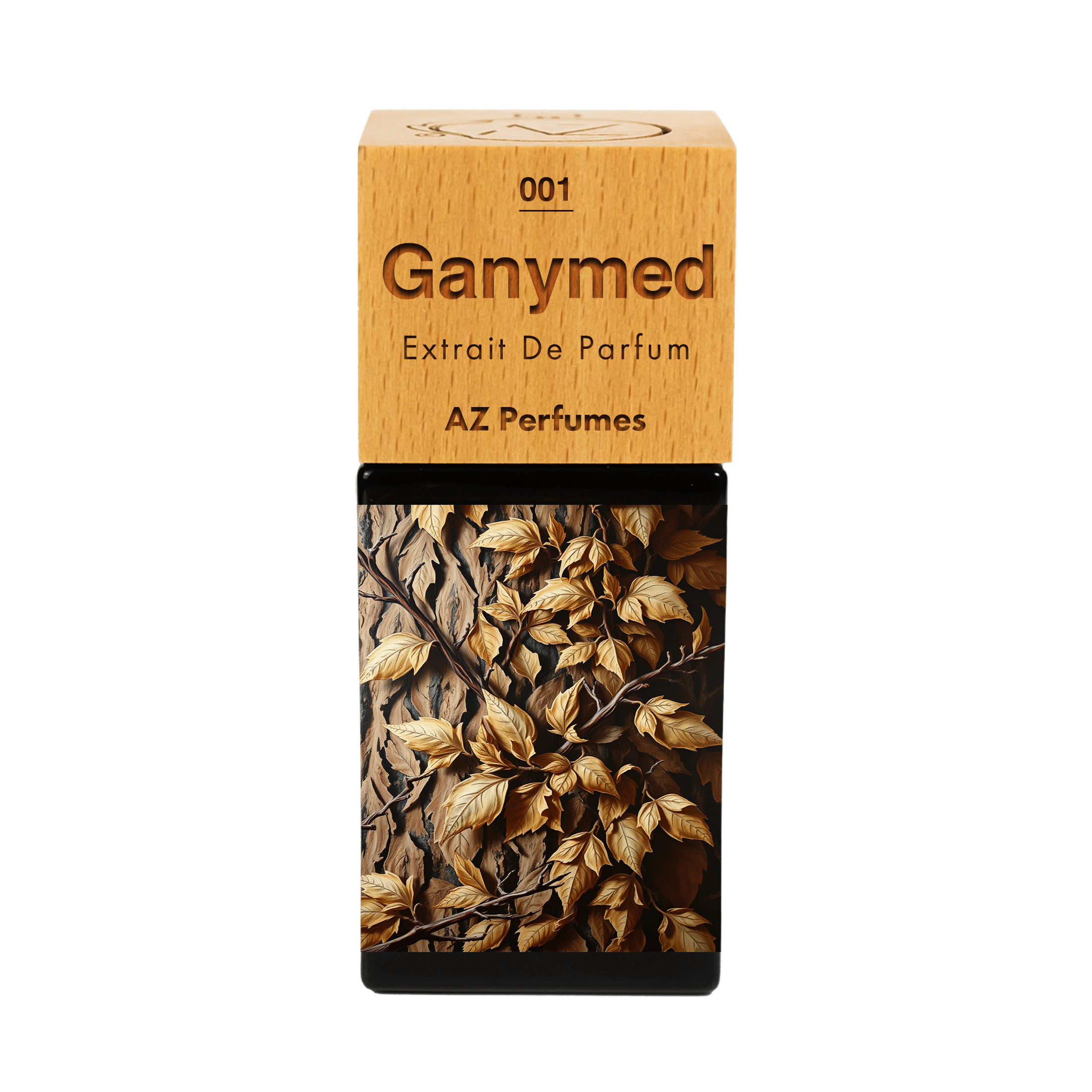 ganymede-n-01
