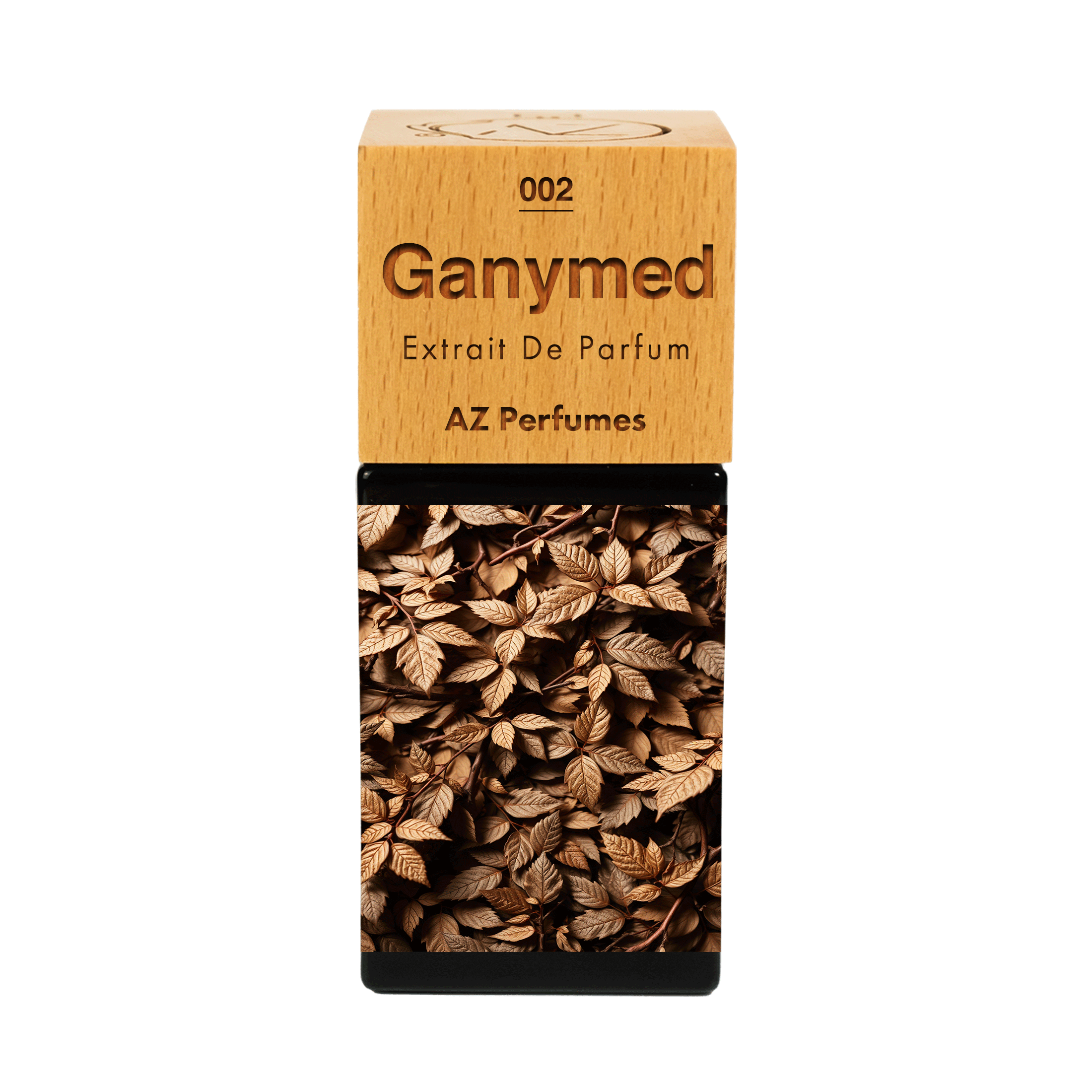 ganymede-n-02