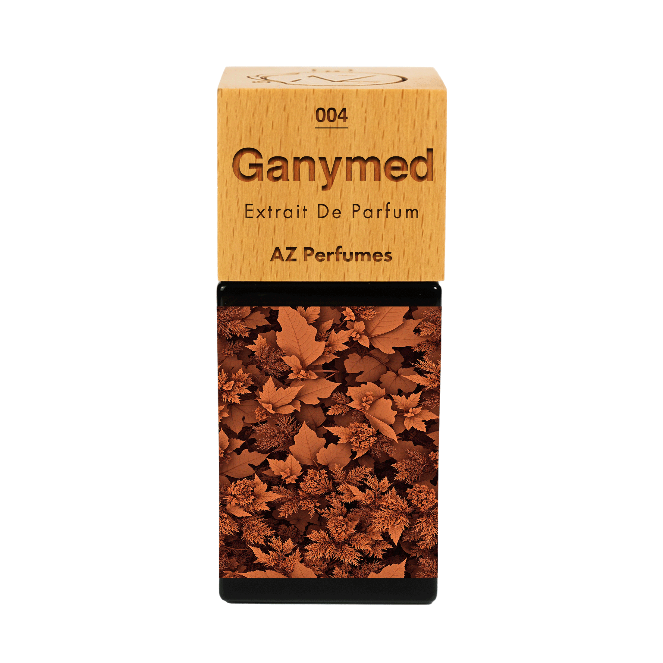 ganymede-n-04