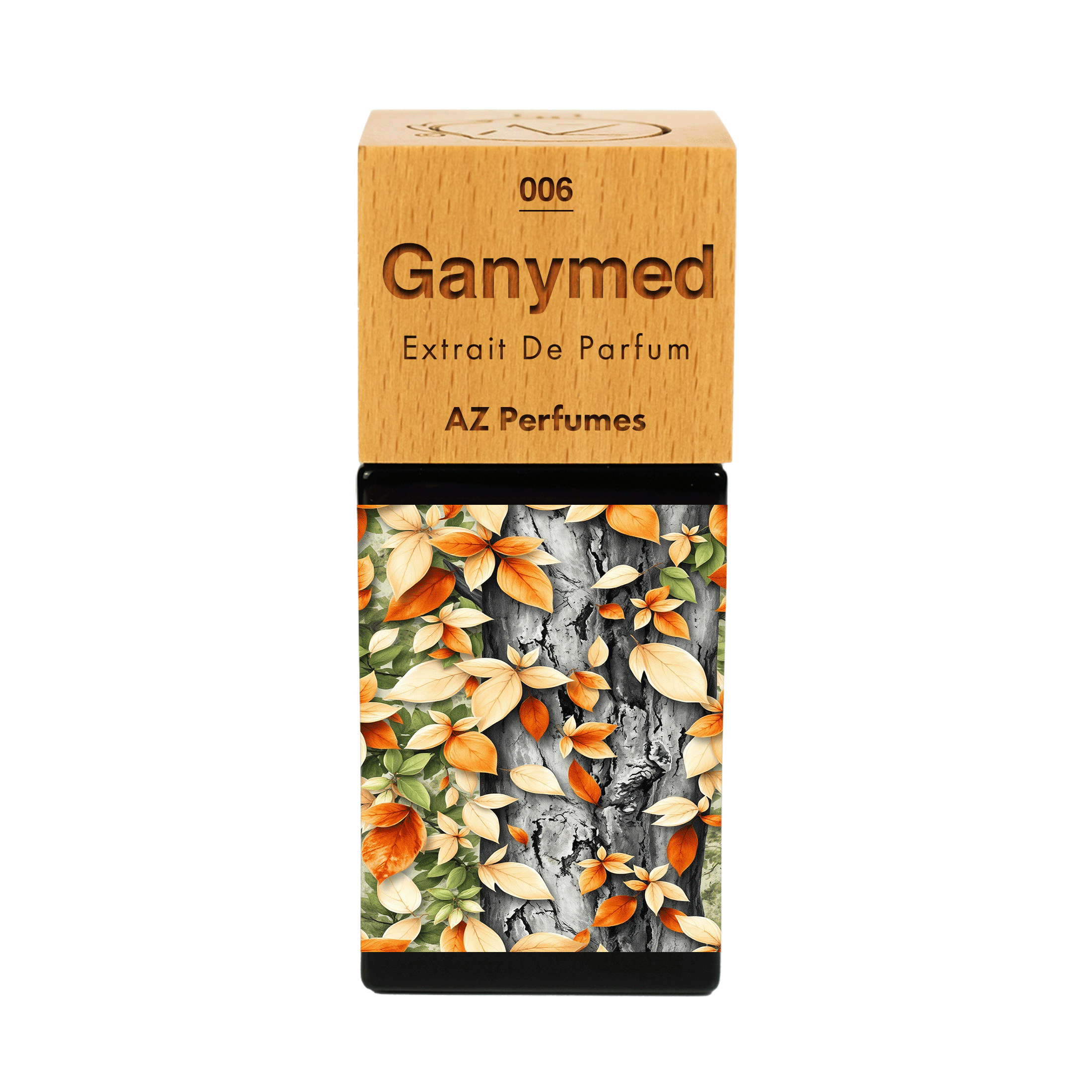 ganymede-n-06