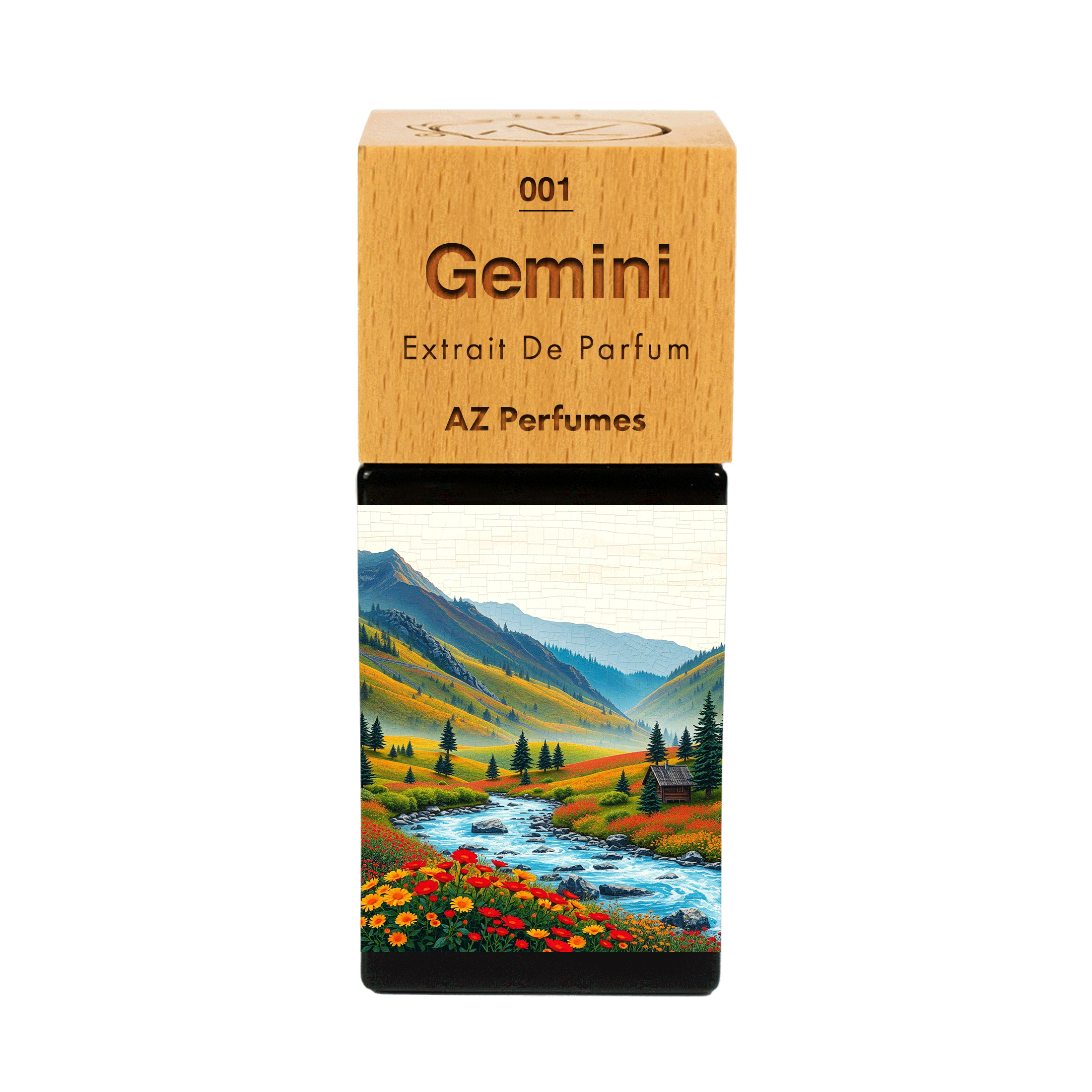 gemini-n-01
