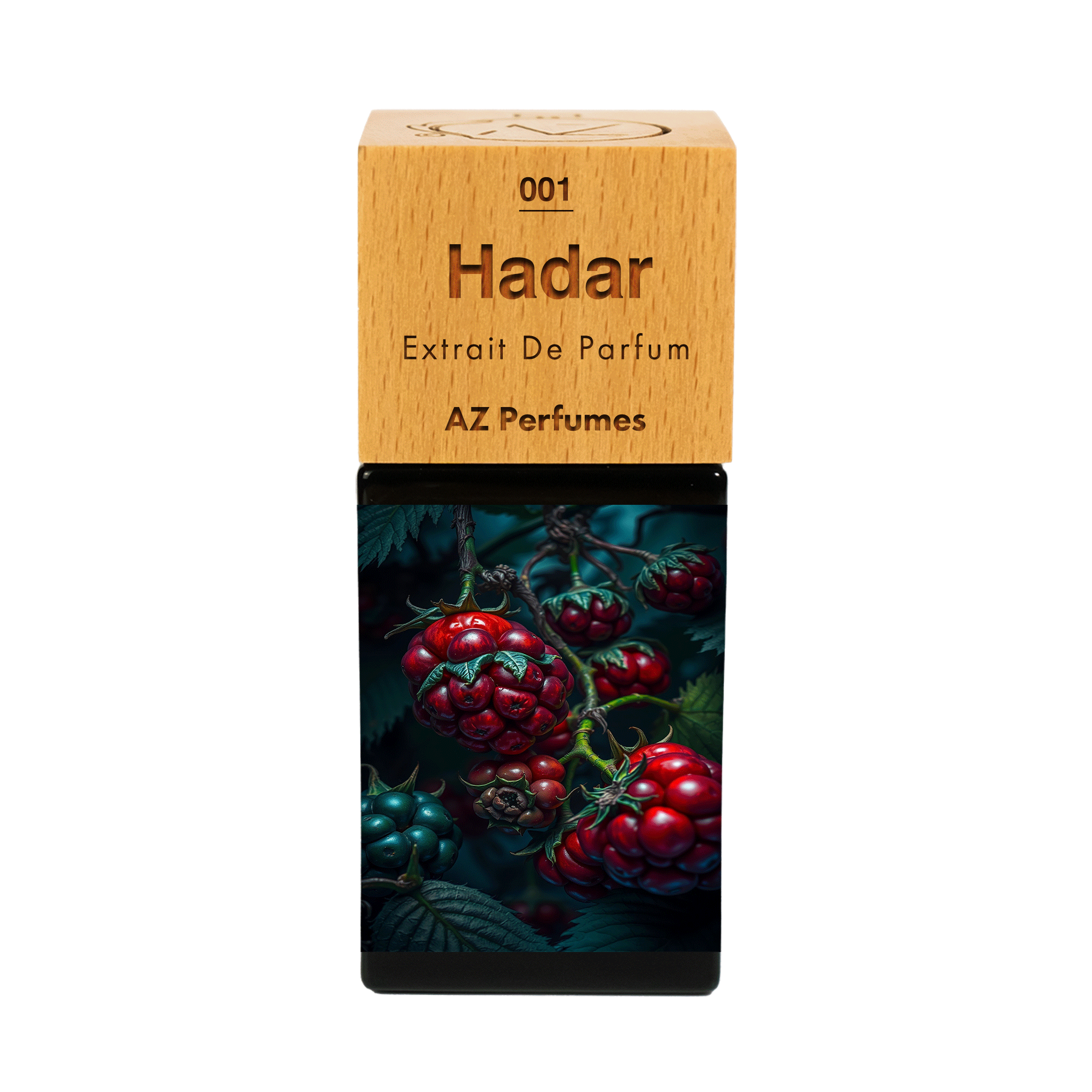 hadar-n-01
