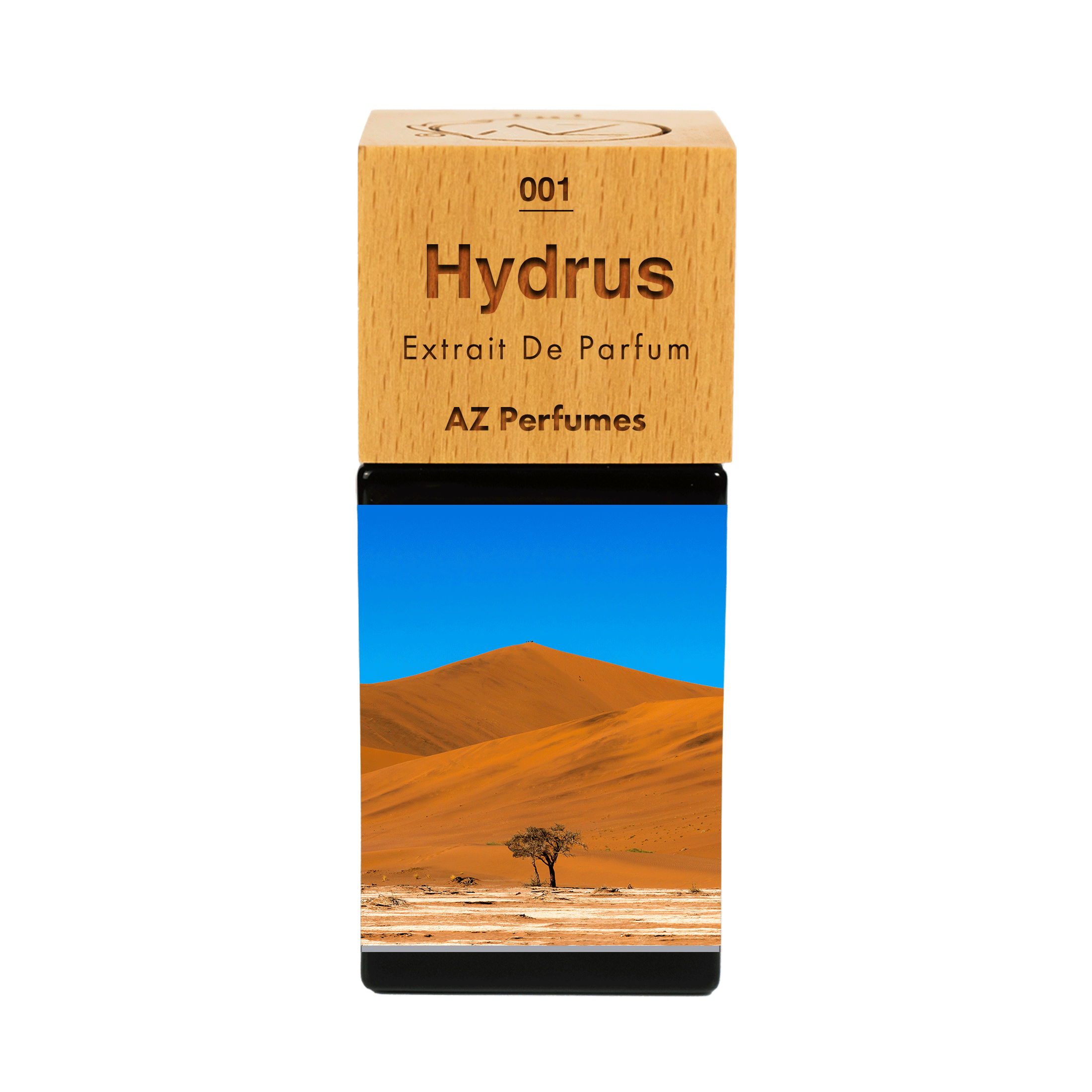hydrus-n-01