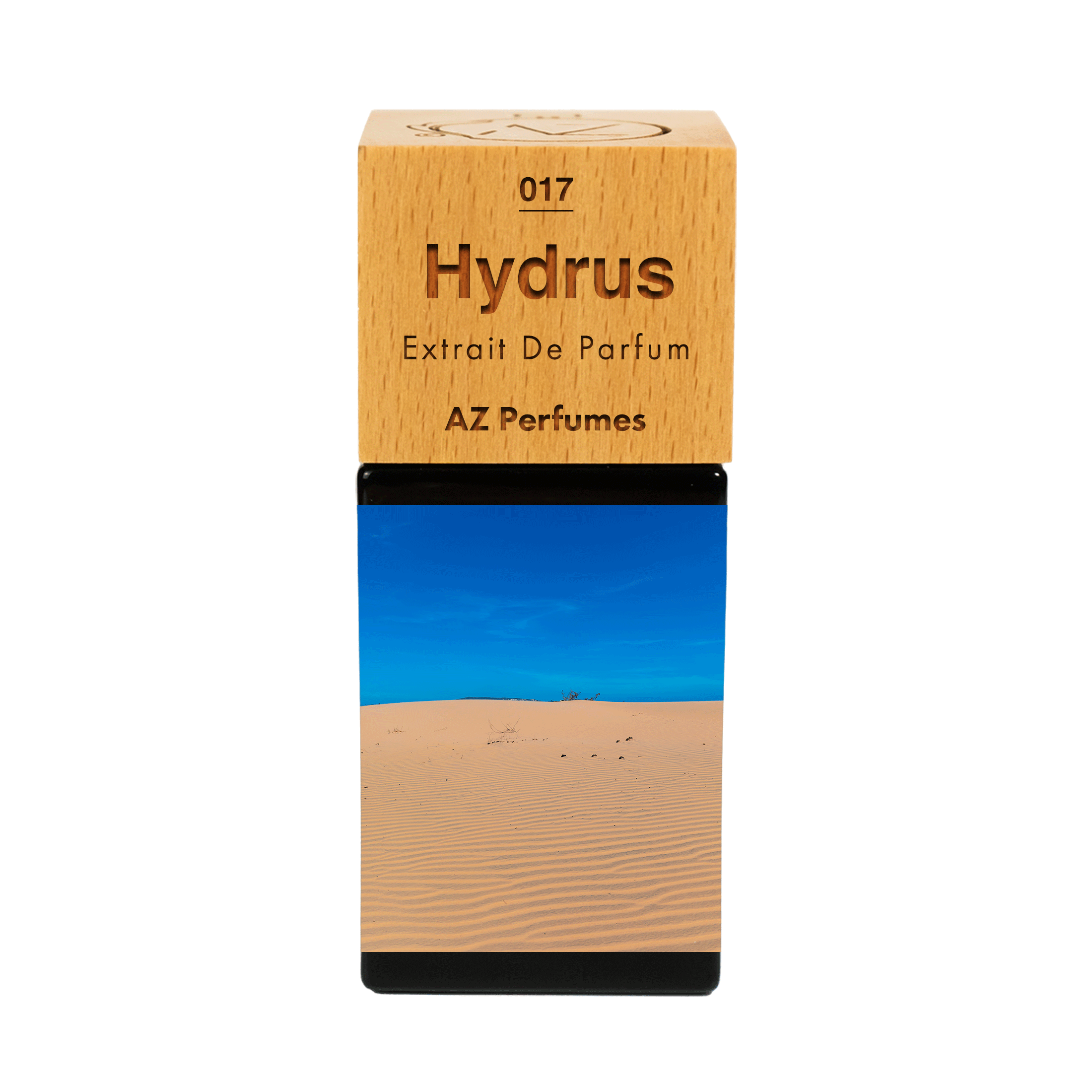 hydrus-n-17