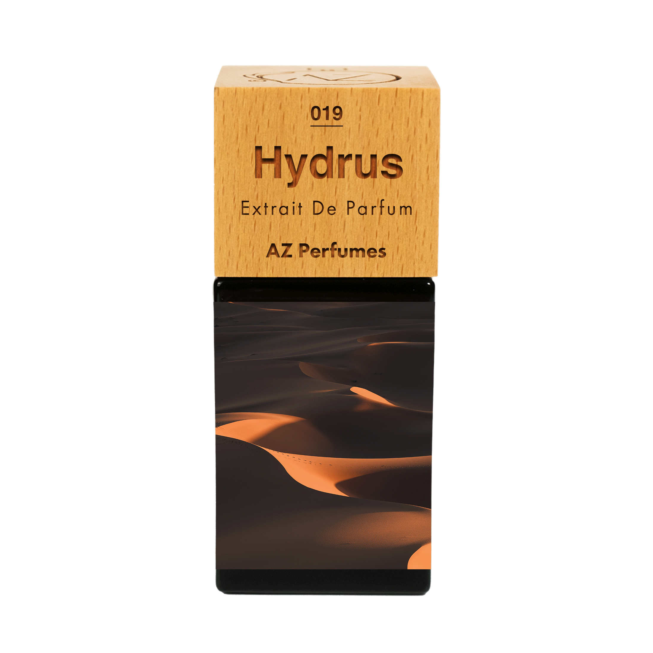 hydrus-n-19
