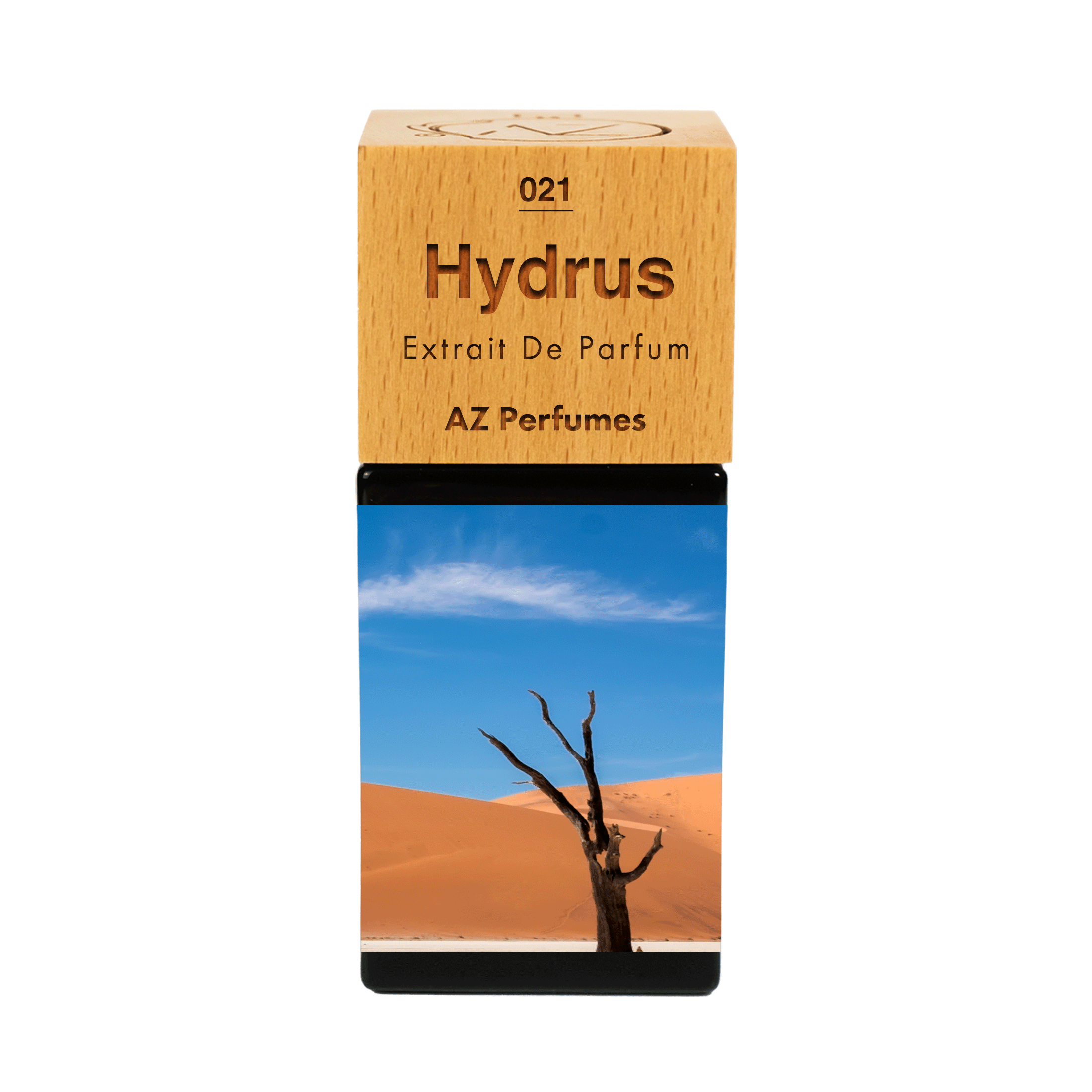 hydrus-n-21