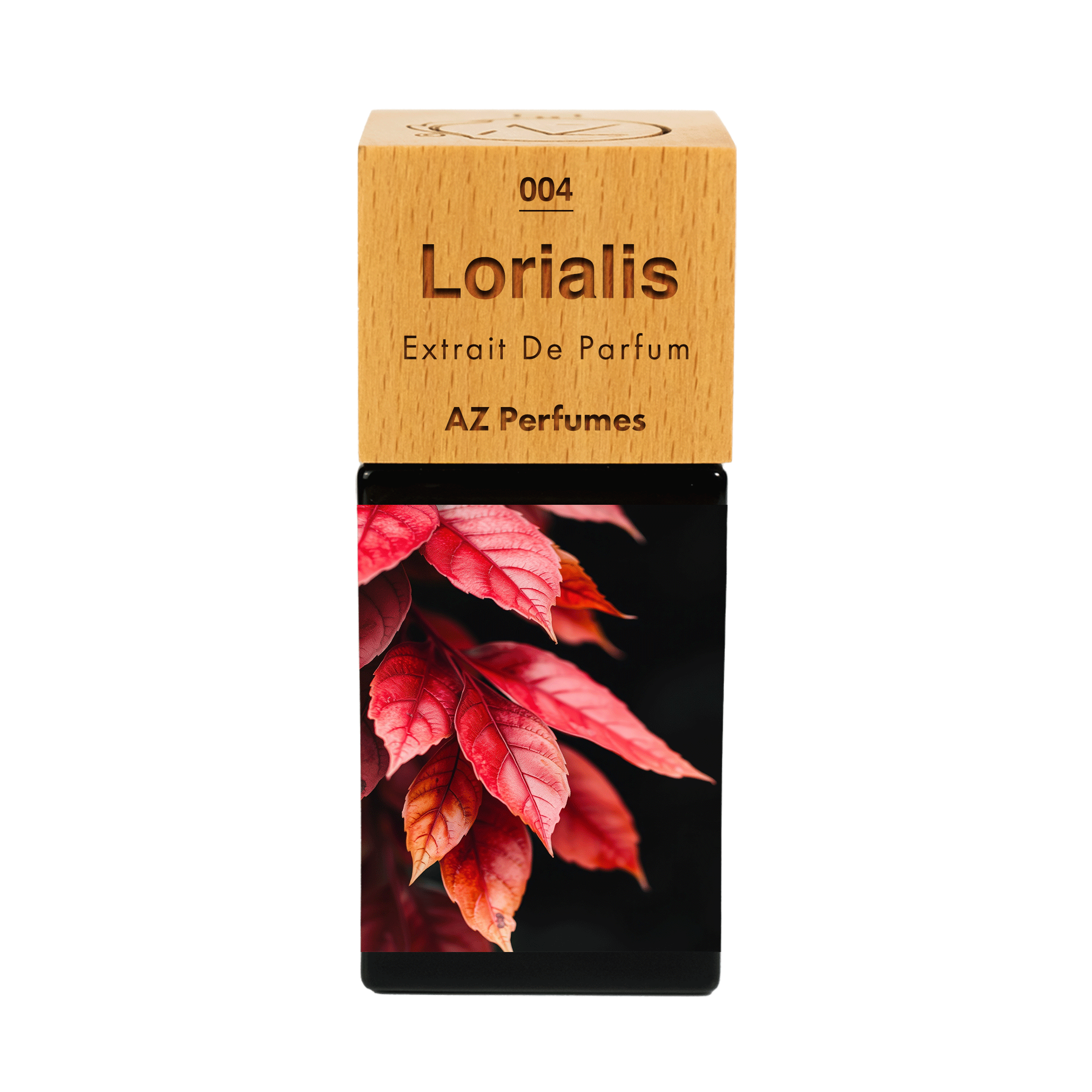 lorialis-n-04