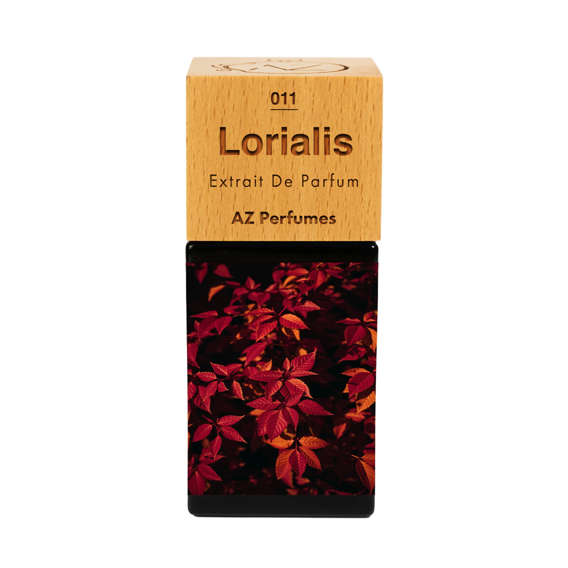 lorialis-n-11