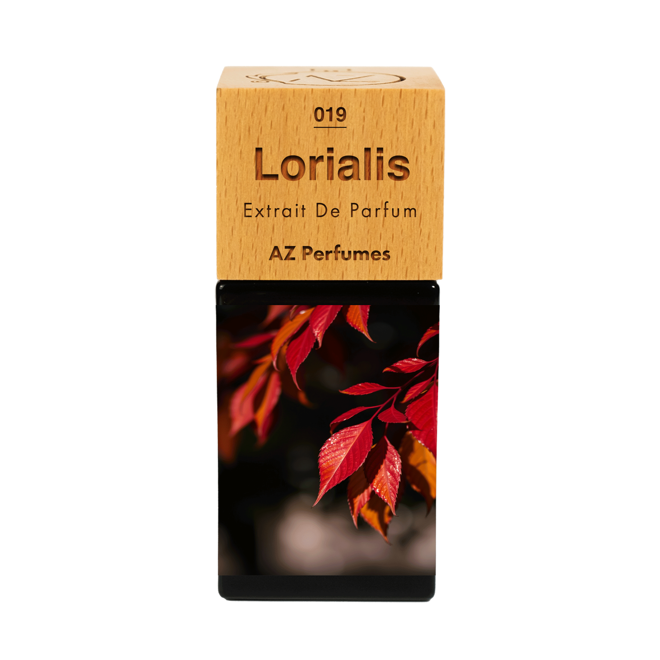 lorialis-n-19
