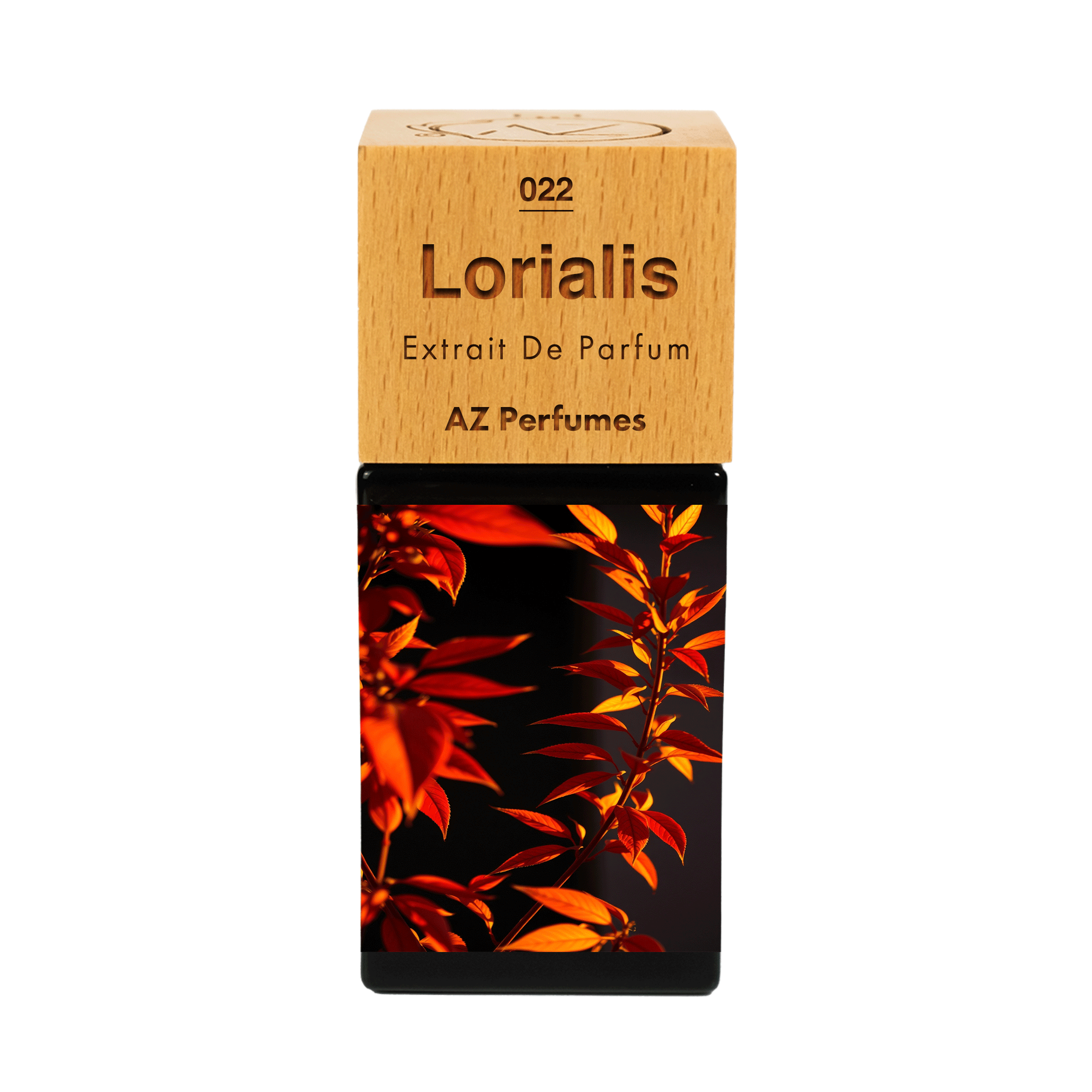 lorialis-n-22