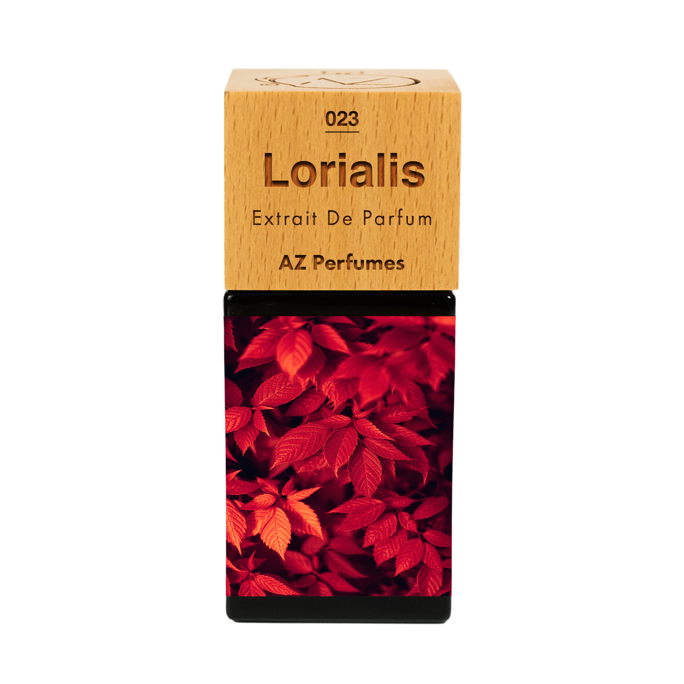 lorialis-n-23