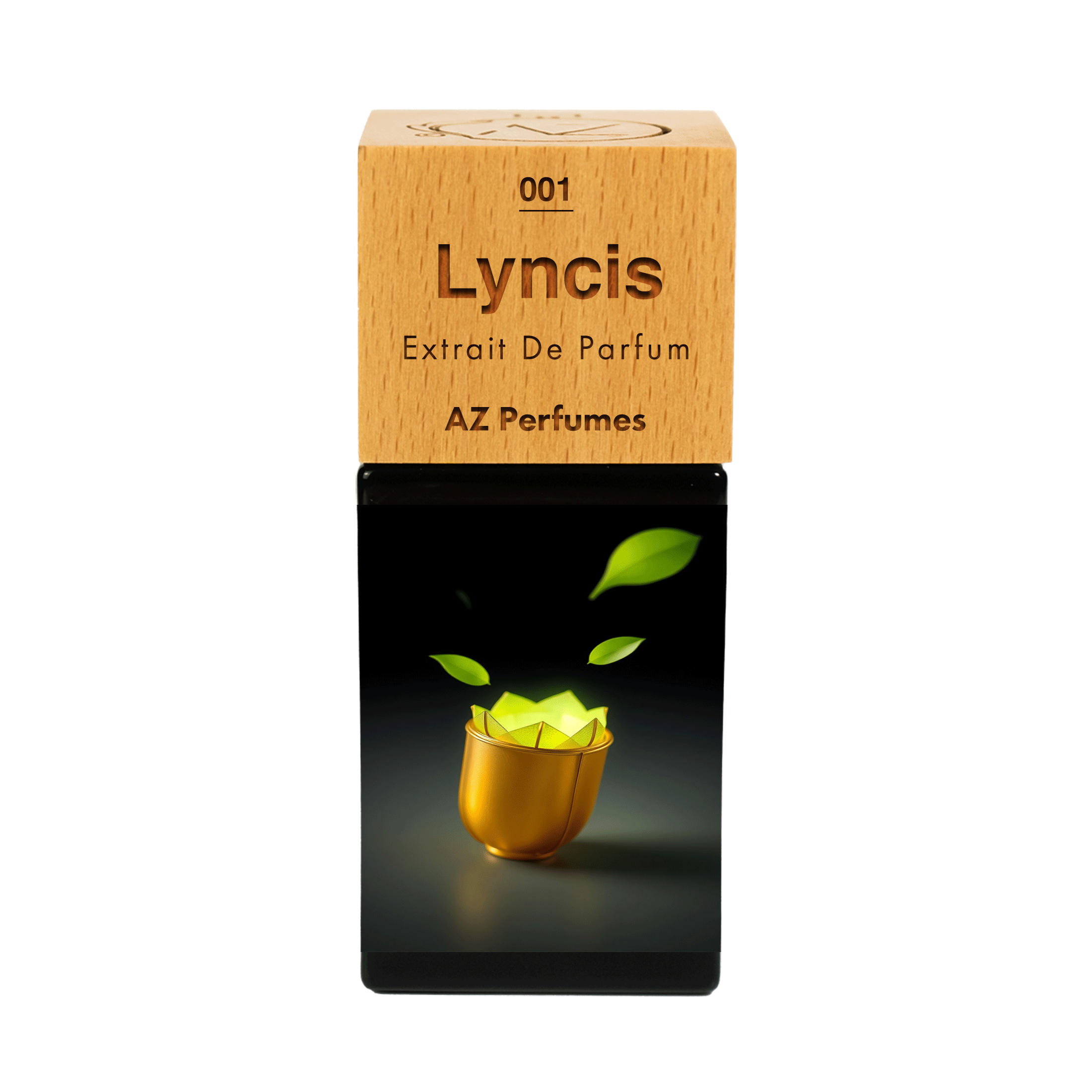 lyncis-n-01